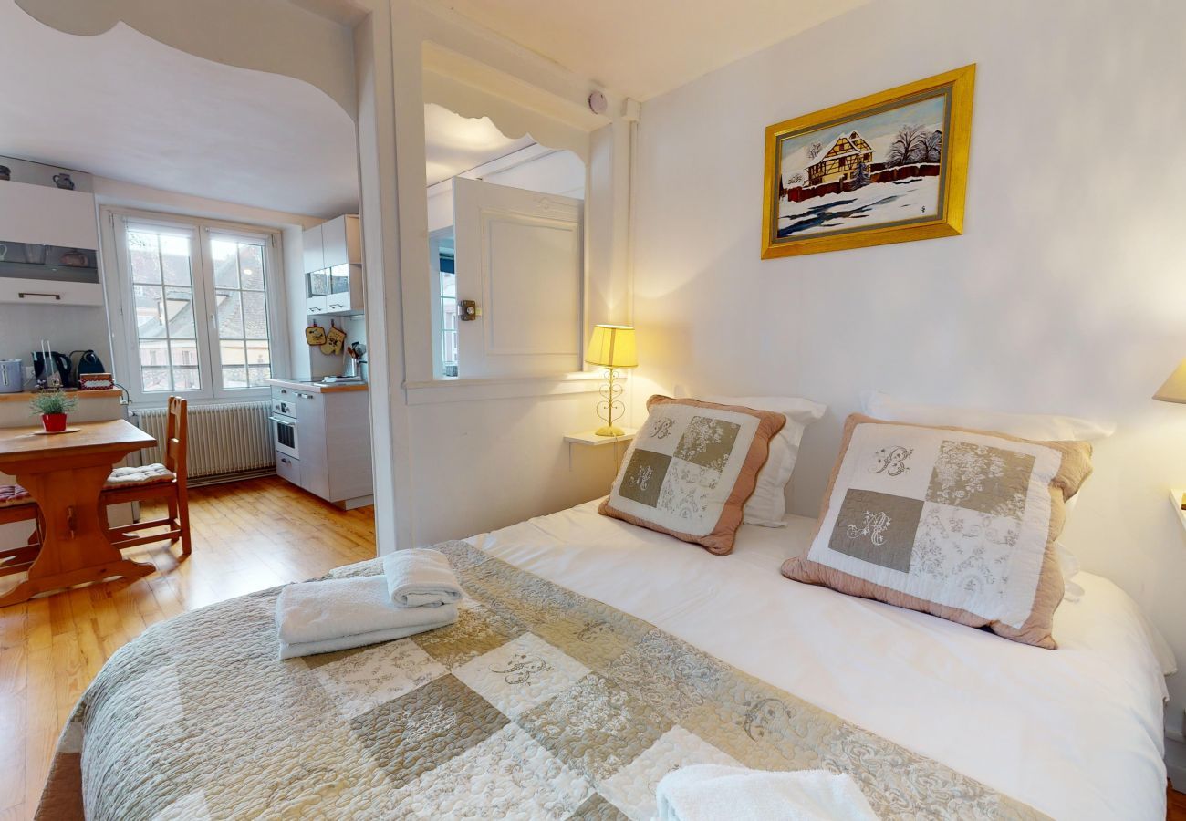 Ferienhaus in Colmar - maison le clos bartholdi 4br 4bth + lounge