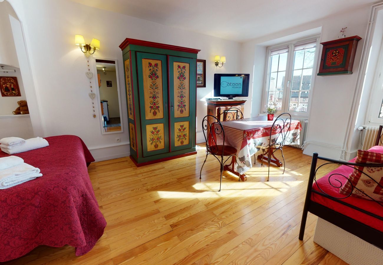 Ferienhaus in Colmar - maison le clos bartholdi 4br 4bth + lounge