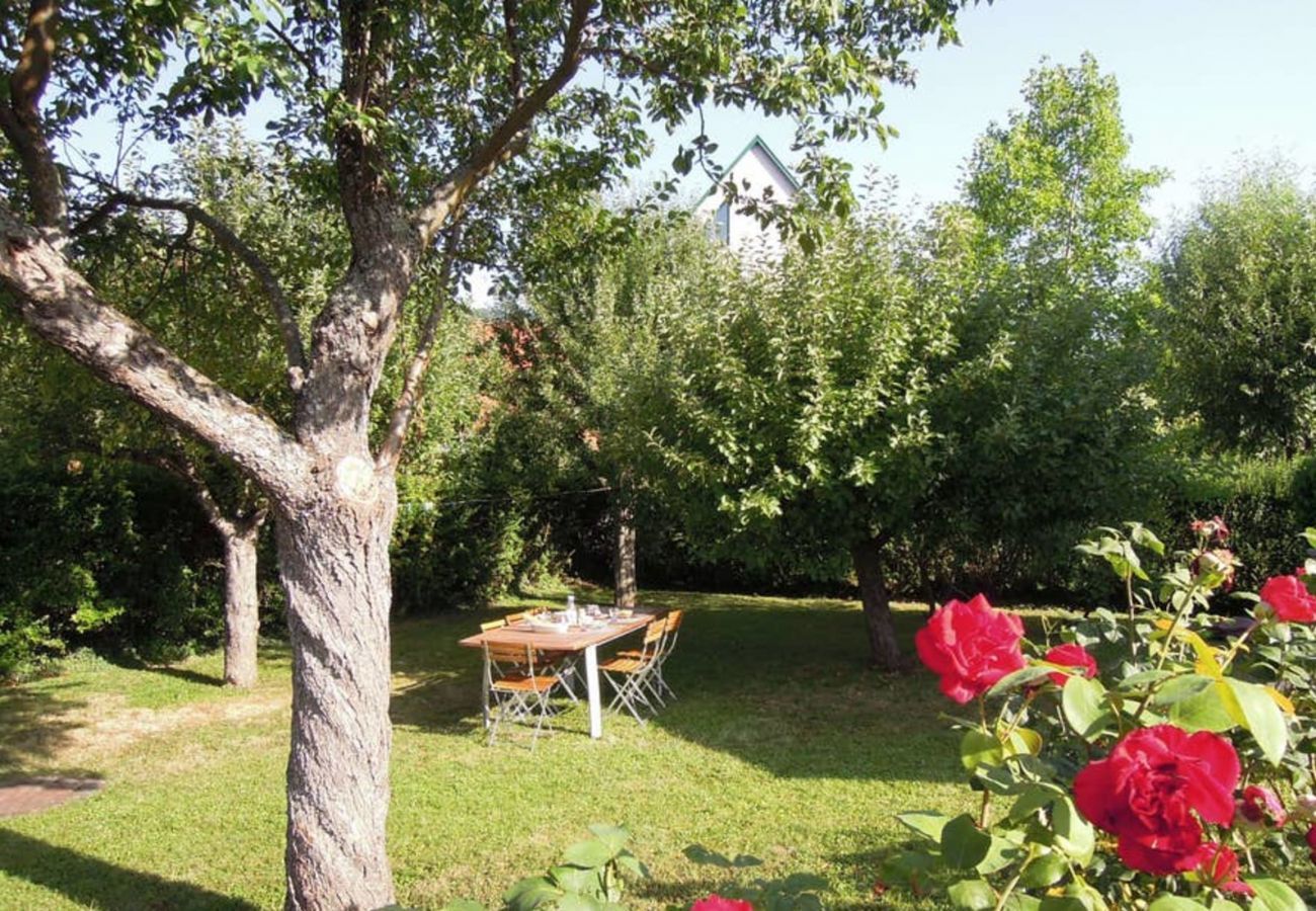 Ferienhaus in Hunawihr - le verger maison de vacances route des vins