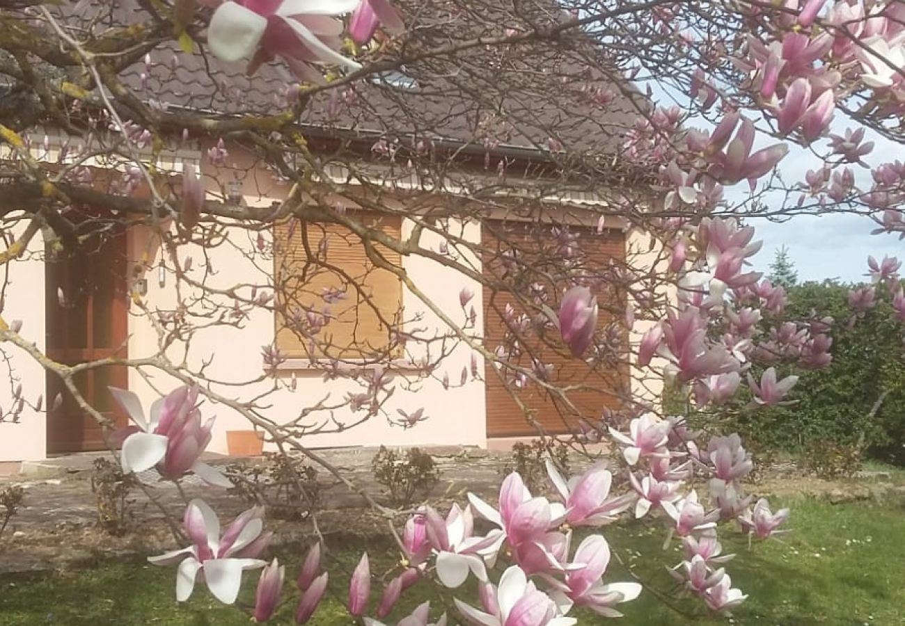 Ferienhaus in Hunawihr - le verger maison de vacances route des vins