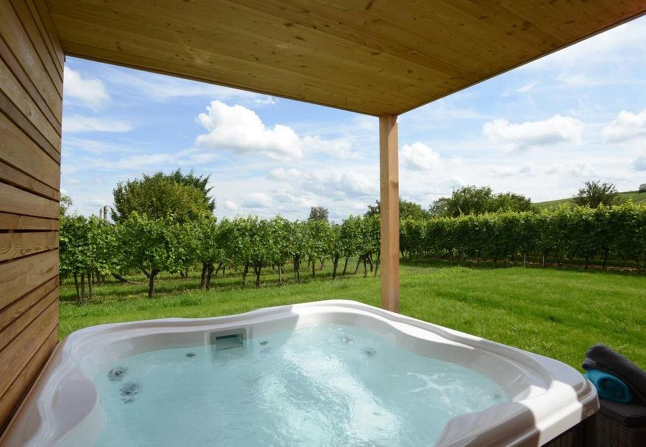 Ferienhaus in Hunawihr - fougere avec jacuzzi le clos des vignes