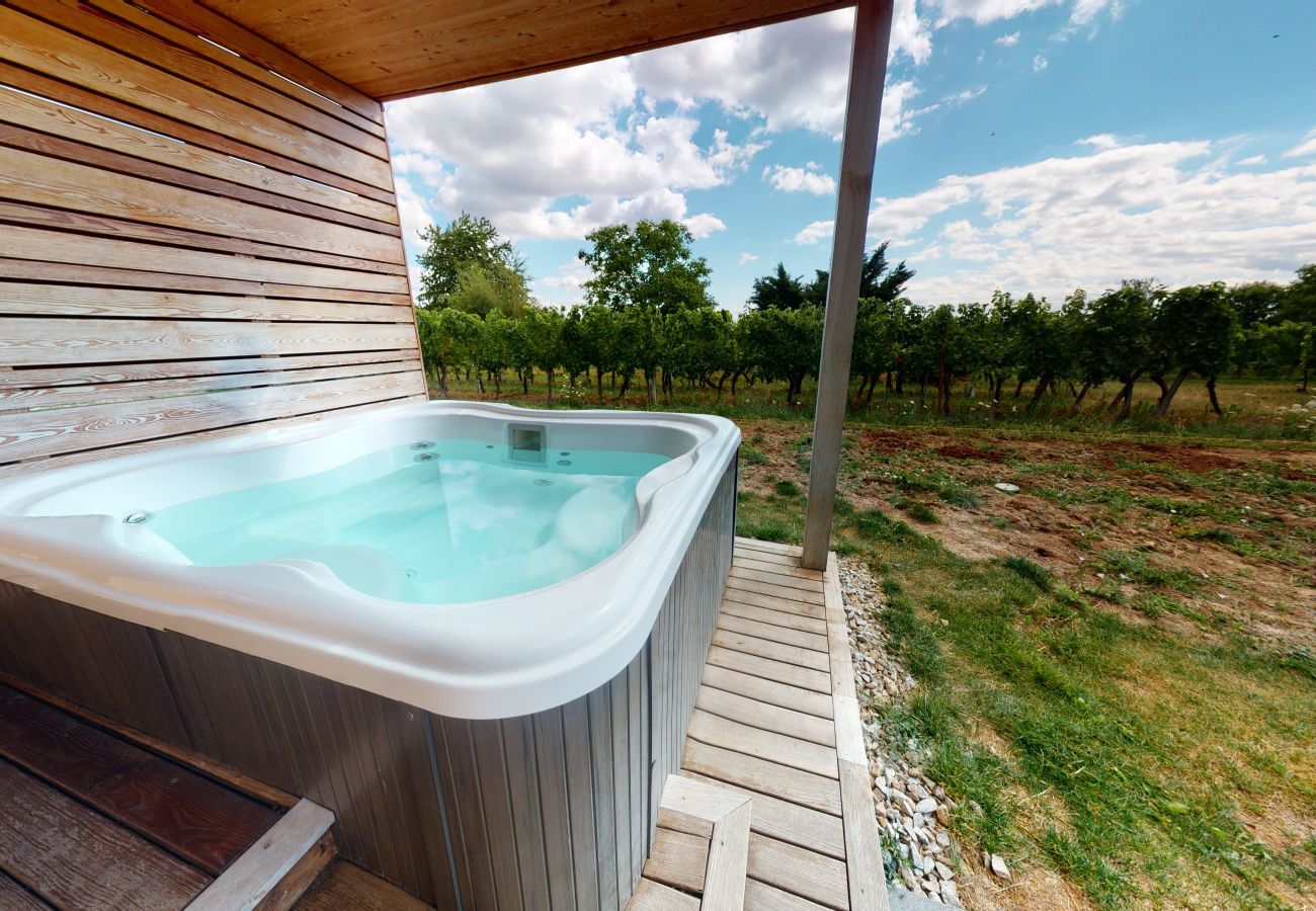 Ferienhaus in Hunawihr - fougere avec jacuzzi le clos des vignes