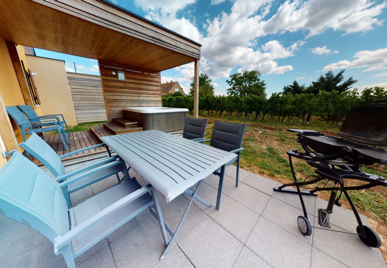 Ferienhaus in Hunawihr - fougere avec jacuzzi le clos des vignes