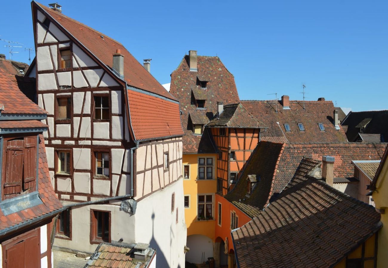Wohnung in Colmar - l apart 155m2 up to 8 guests city center 3br 3bth