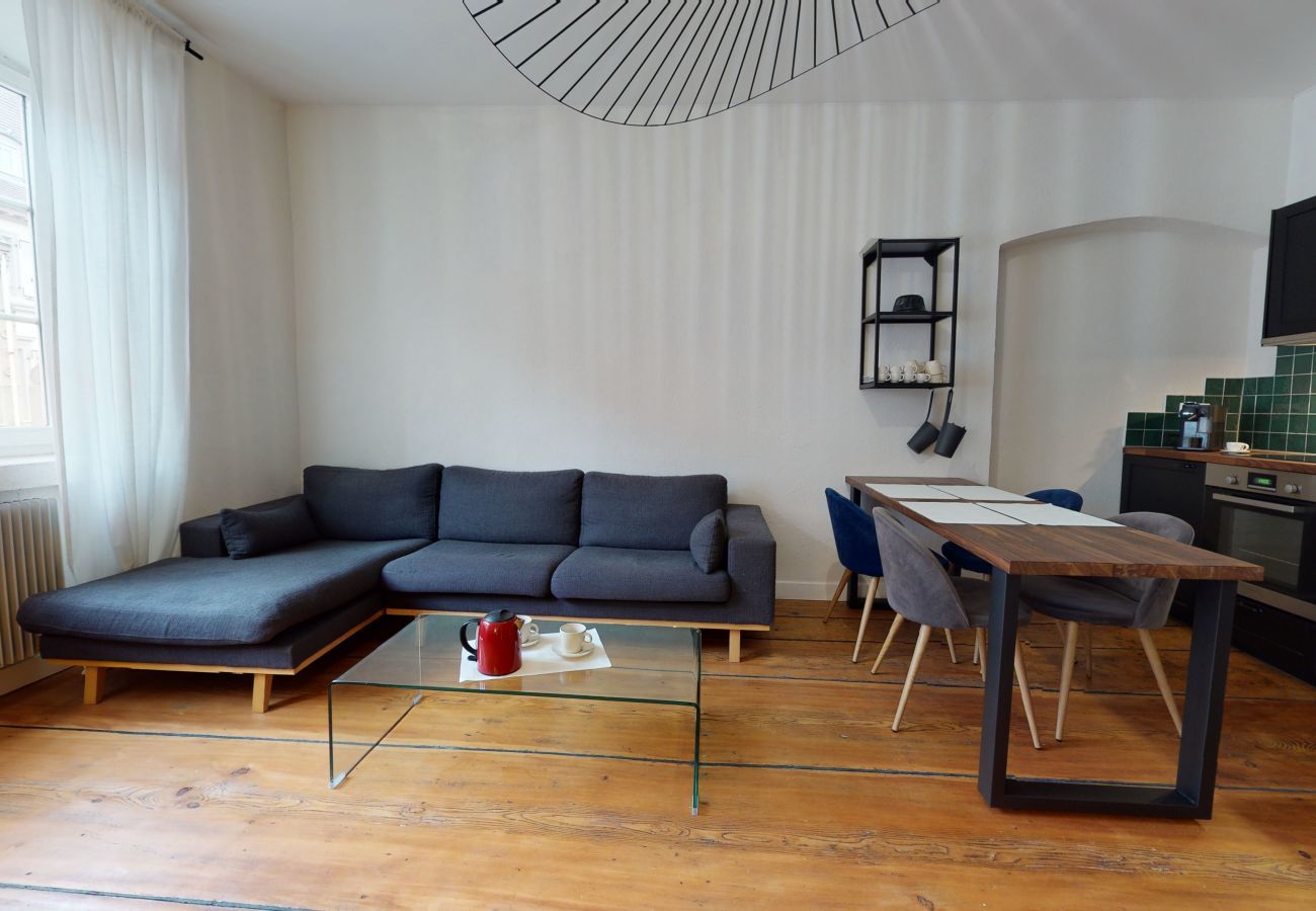 Ferienwohnung in Colmar - le neubau city center 4 adults 2 kids    2br