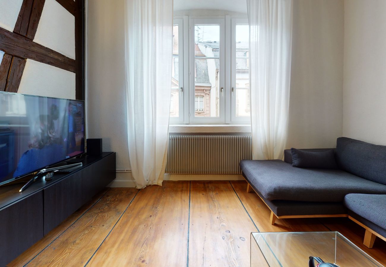 Ferienwohnung in Colmar - le neubau city center 4 adults 2 kids    2br