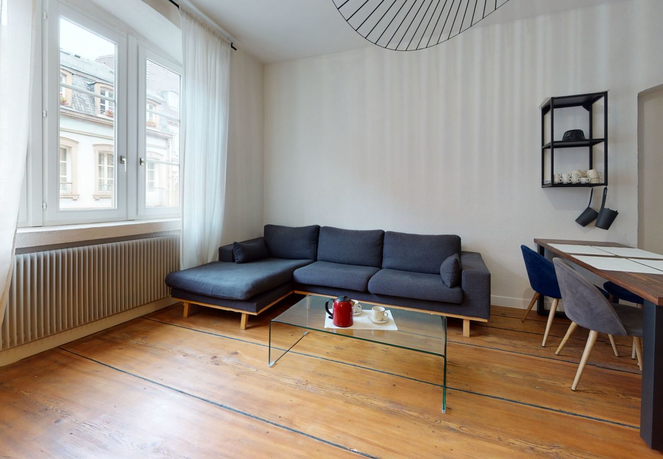 Ferienwohnung in Colmar - le neubau city center 4 adults 2 kids    2br