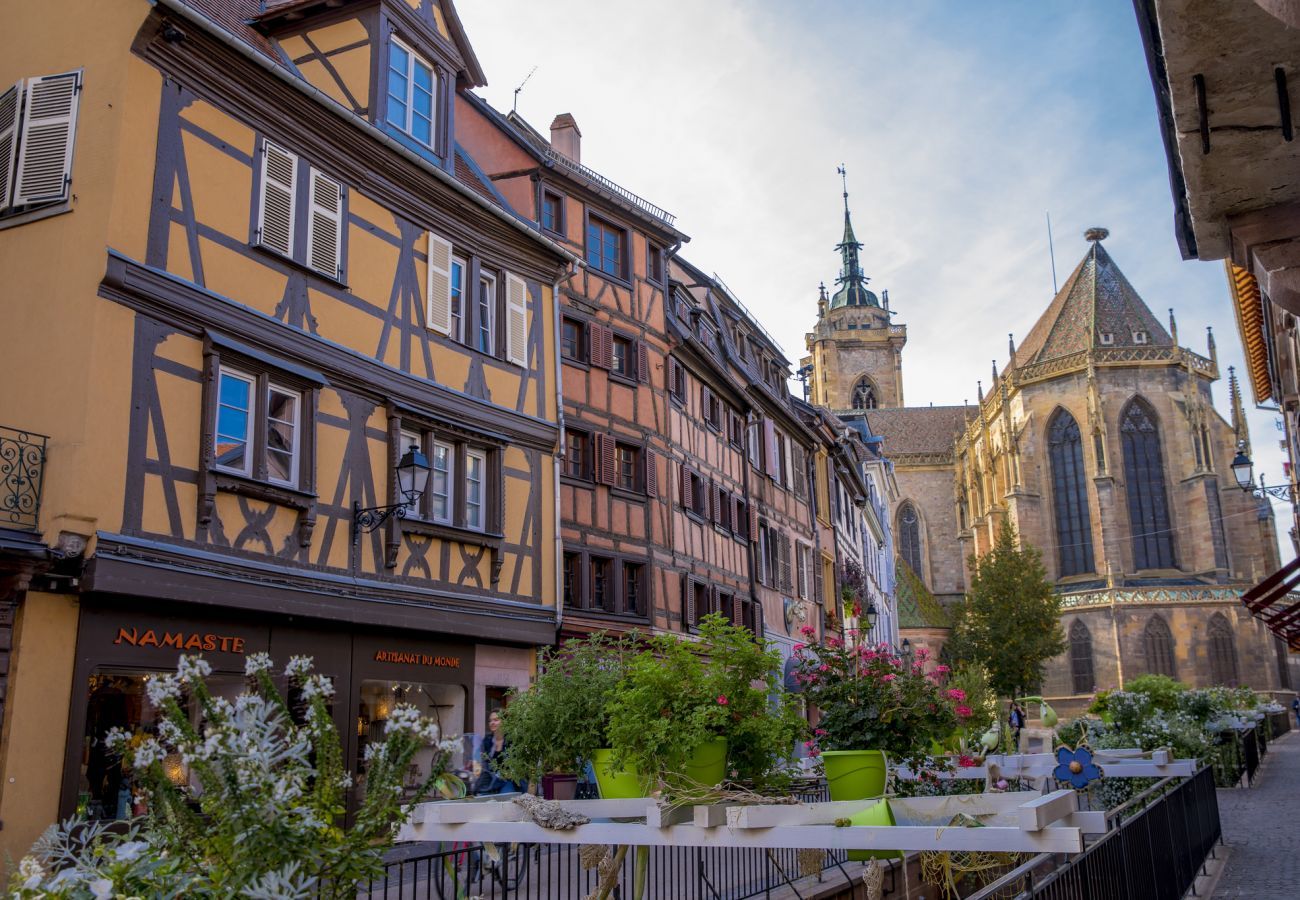 Ferienwohnung in Colmar - le neubau city center 4 adults 2 kids    2br