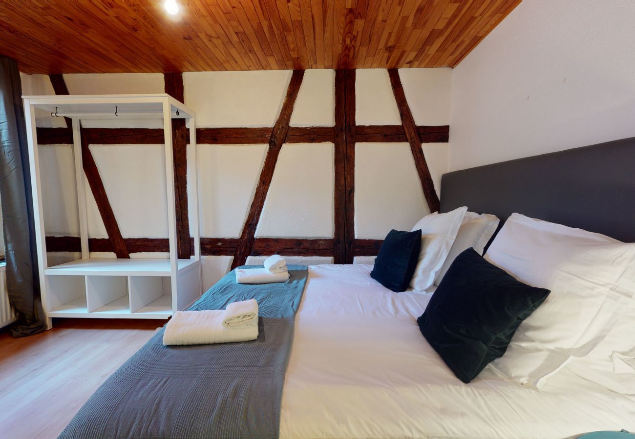 Ferienwohnung in Colmar - le petit thierenbach maison alsacienne    2br