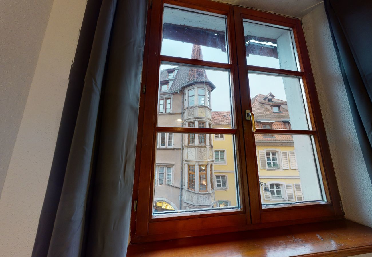 Ferienwohnung in Colmar - le petit thierenbach maison alsacienne    2br