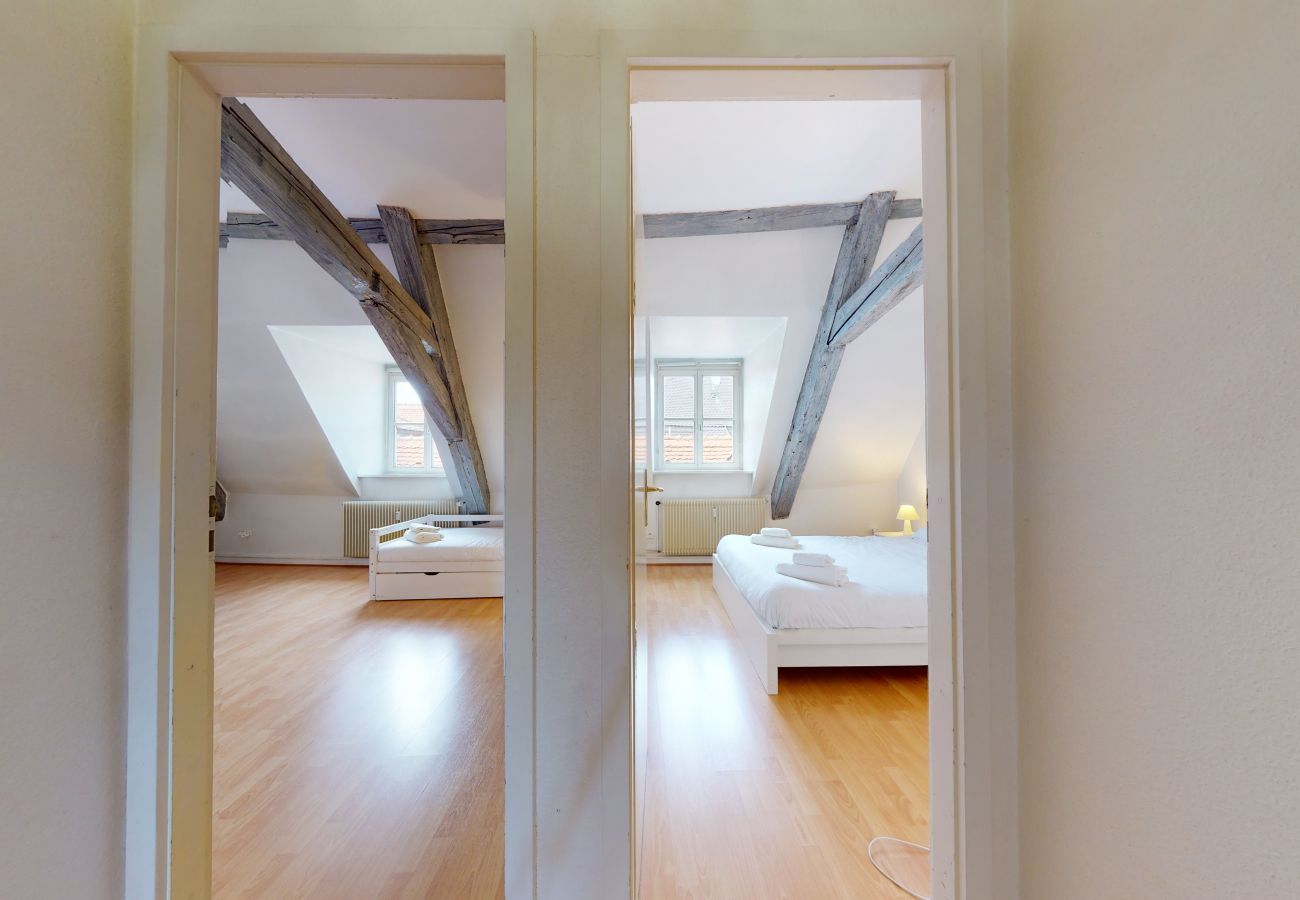 Ferienwohnung in Colmar - tel un songe blanc 73m2         2br