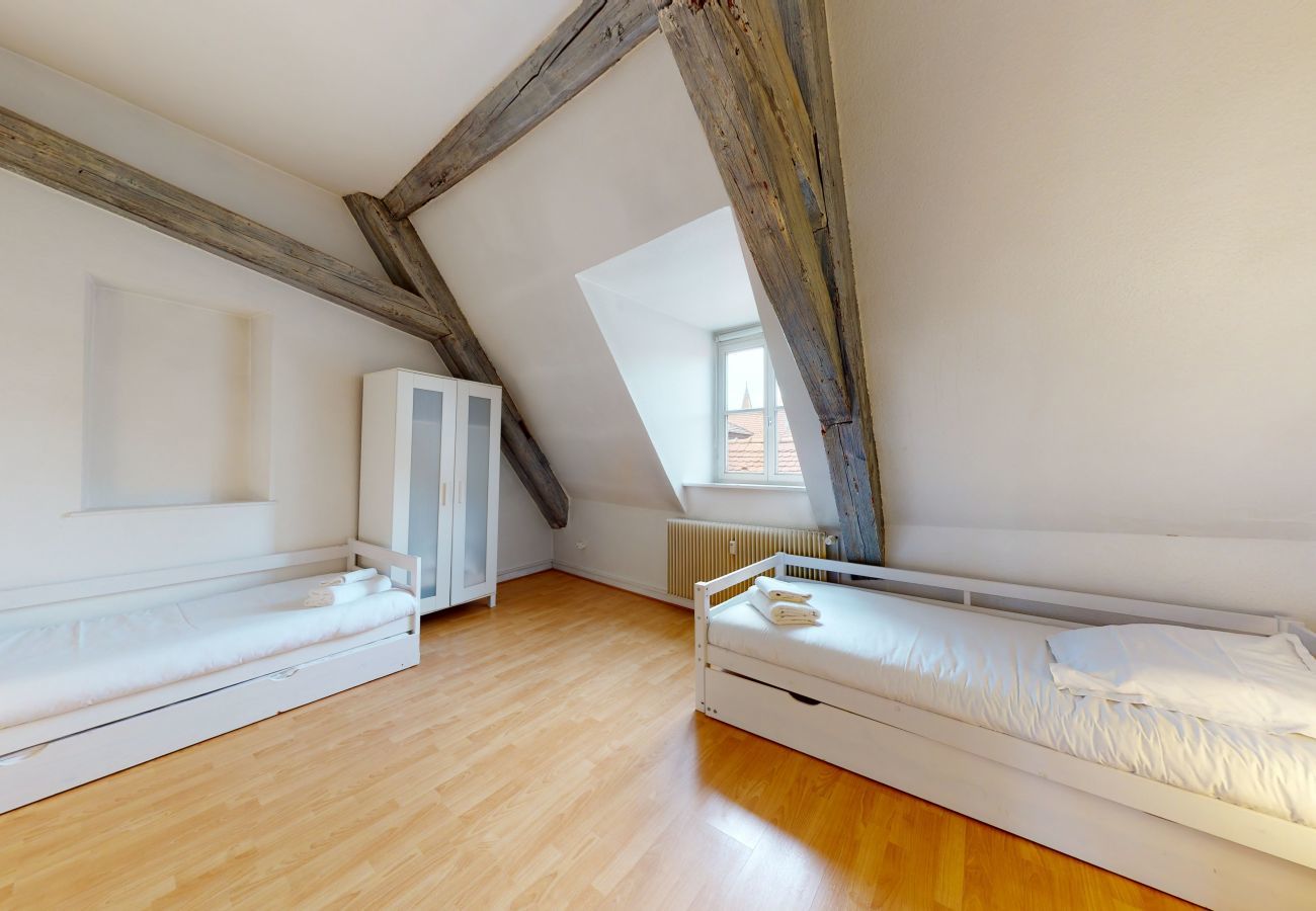 Ferienwohnung in Colmar - tel un songe blanc 73m2         2br