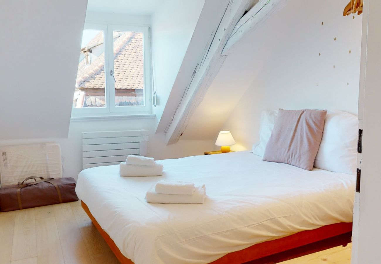 Ferienwohnung in Colmar - Gite Là Haut 1 free parking colmar centre 2br
