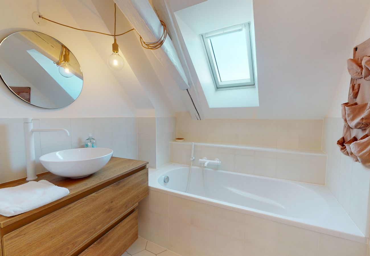 Ferienwohnung in Colmar - Gite Là Haut 1 free parking colmar centre 2br
