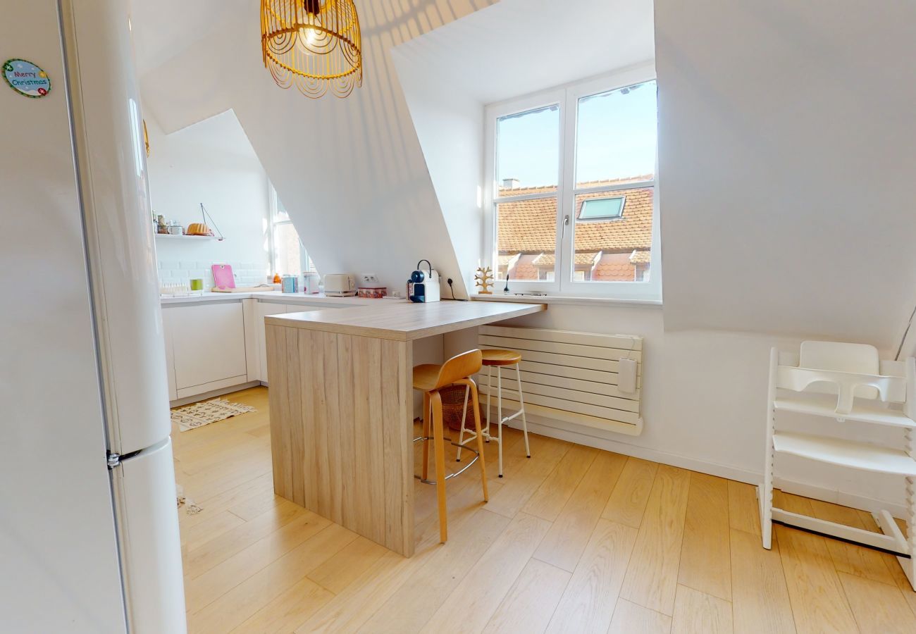 Ferienwohnung in Colmar - Gite Là Haut 1 free parking colmar centre 2br
