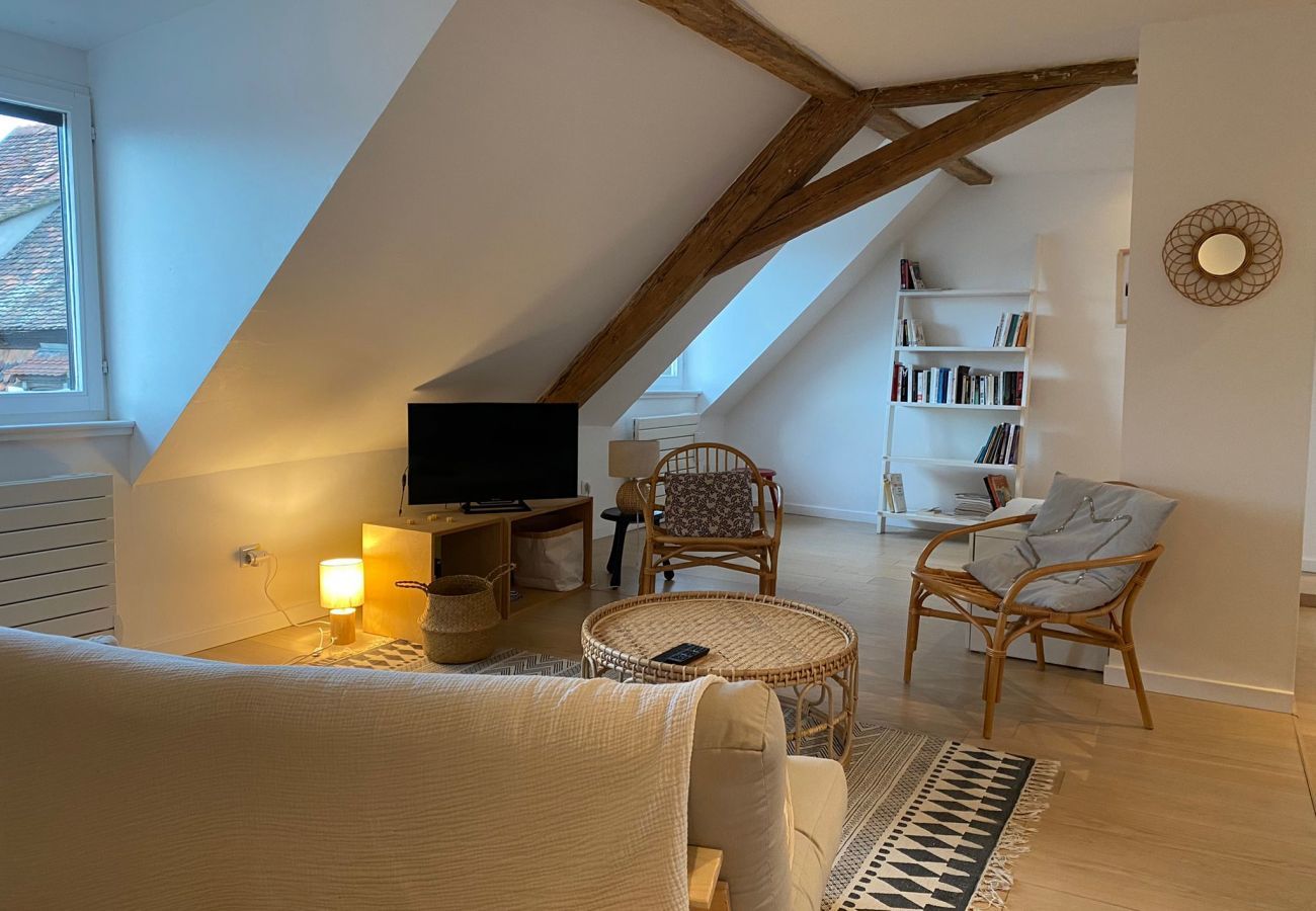 Ferienwohnung in Colmar - Gite Là Haut 1 free parking colmar centre 2br