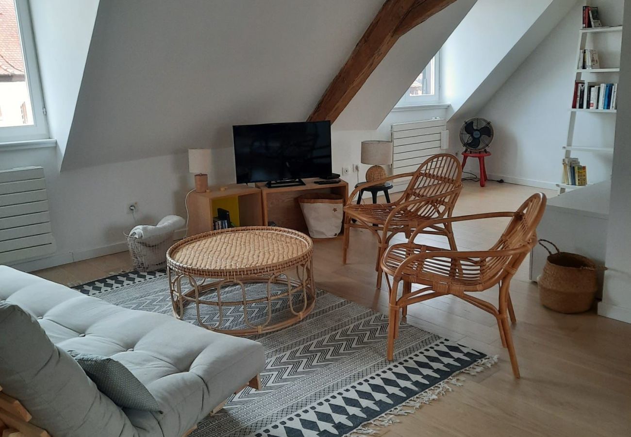 Ferienwohnung in Colmar - Gite Là Haut 1 free parking colmar centre 2br