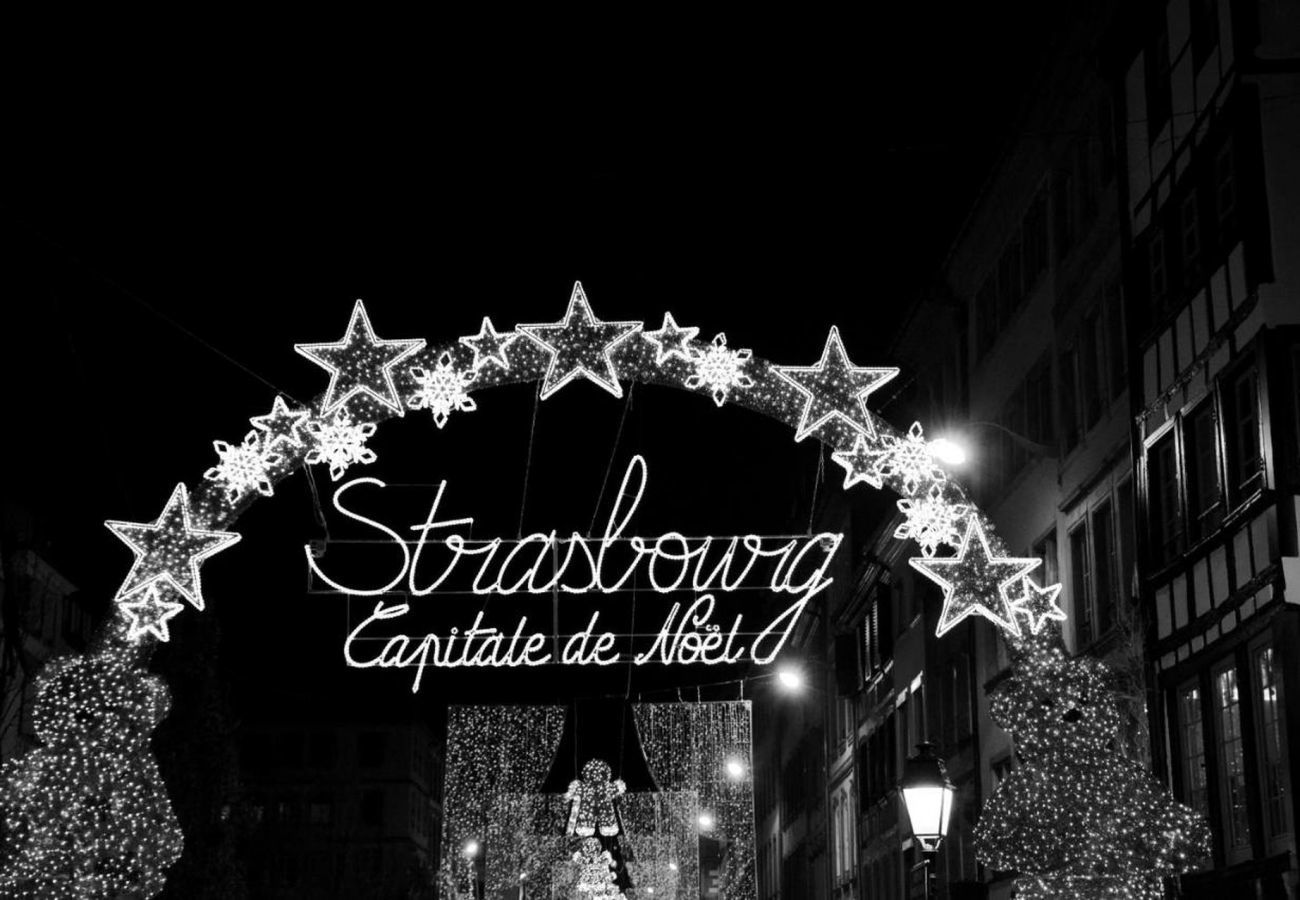Ferienwohnung in Strasbourg - le nid de l ill magnifique duplex cosy petite fran