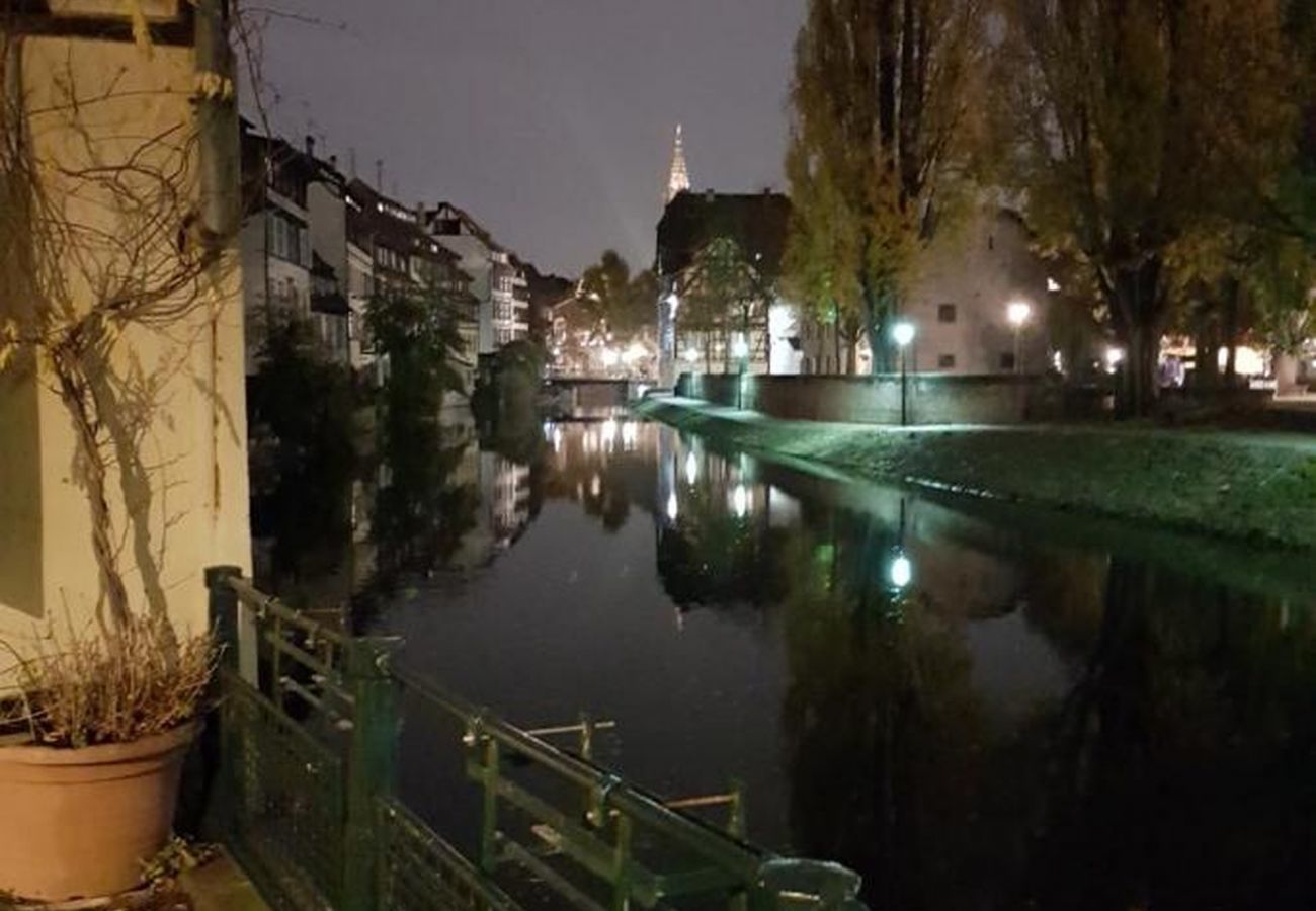 Ferienwohnung in Strasbourg - le nid de l ill magnifique duplex cosy petite fran