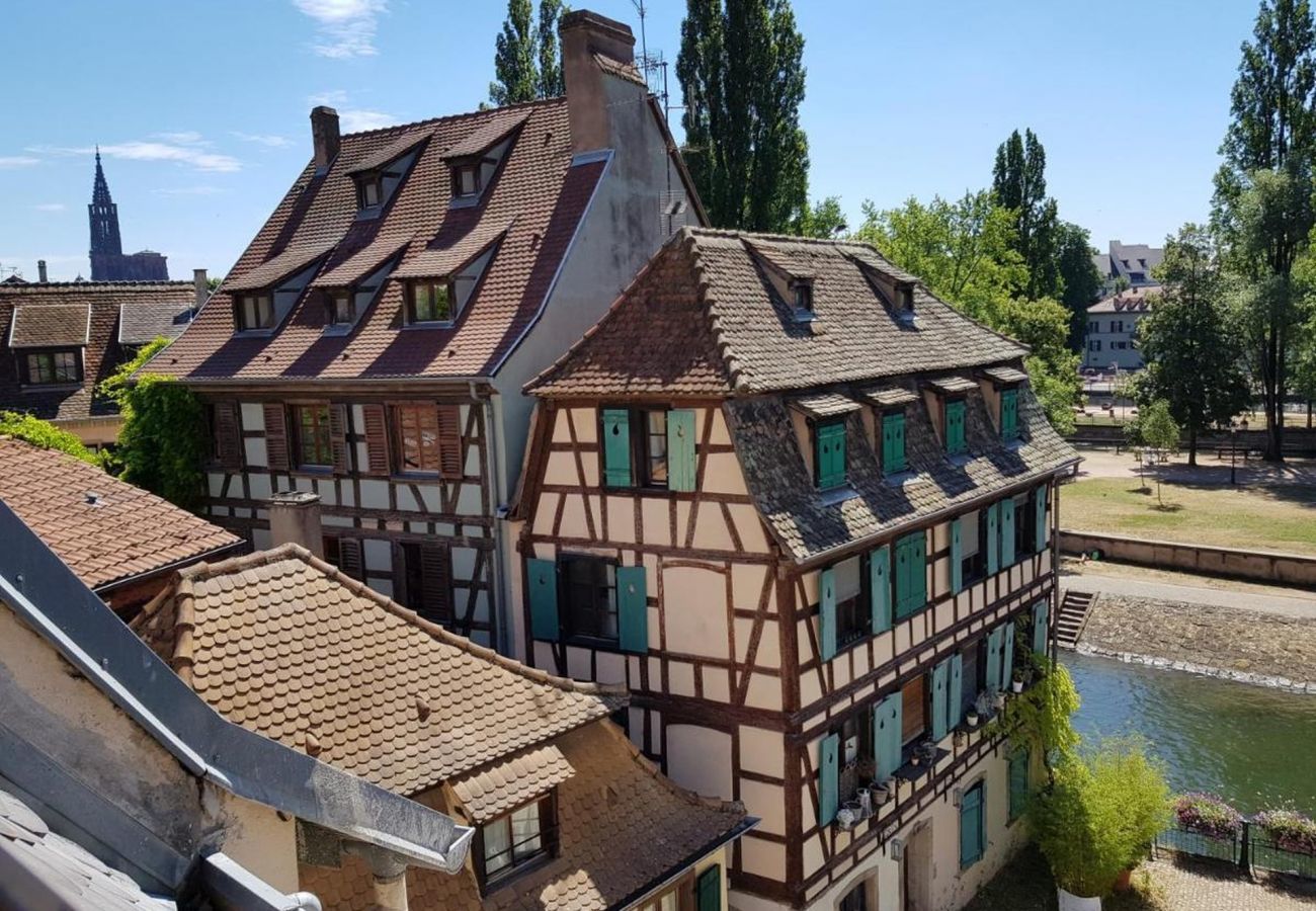 Ferienwohnung in Strasbourg - le nid de l ill magnifique duplex cosy petite fran