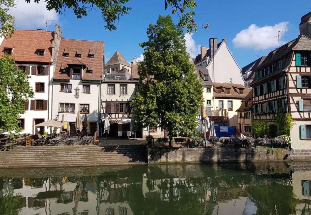 Ferienwohnung in Strasbourg - le nid de l ill magnifique duplex cosy petite fran