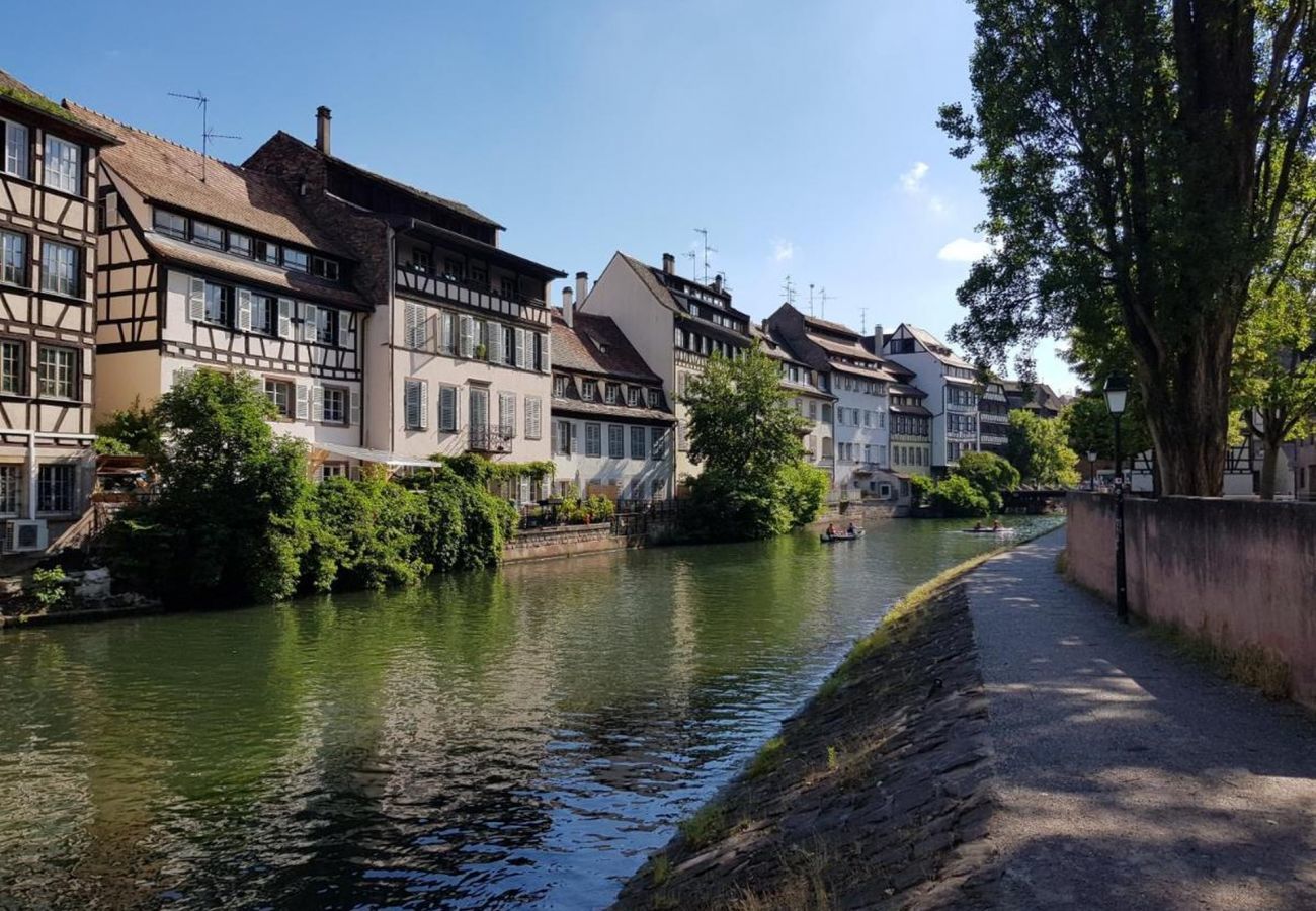 Ferienwohnung in Strasbourg - le nid de l ill magnifique duplex cosy petite fran