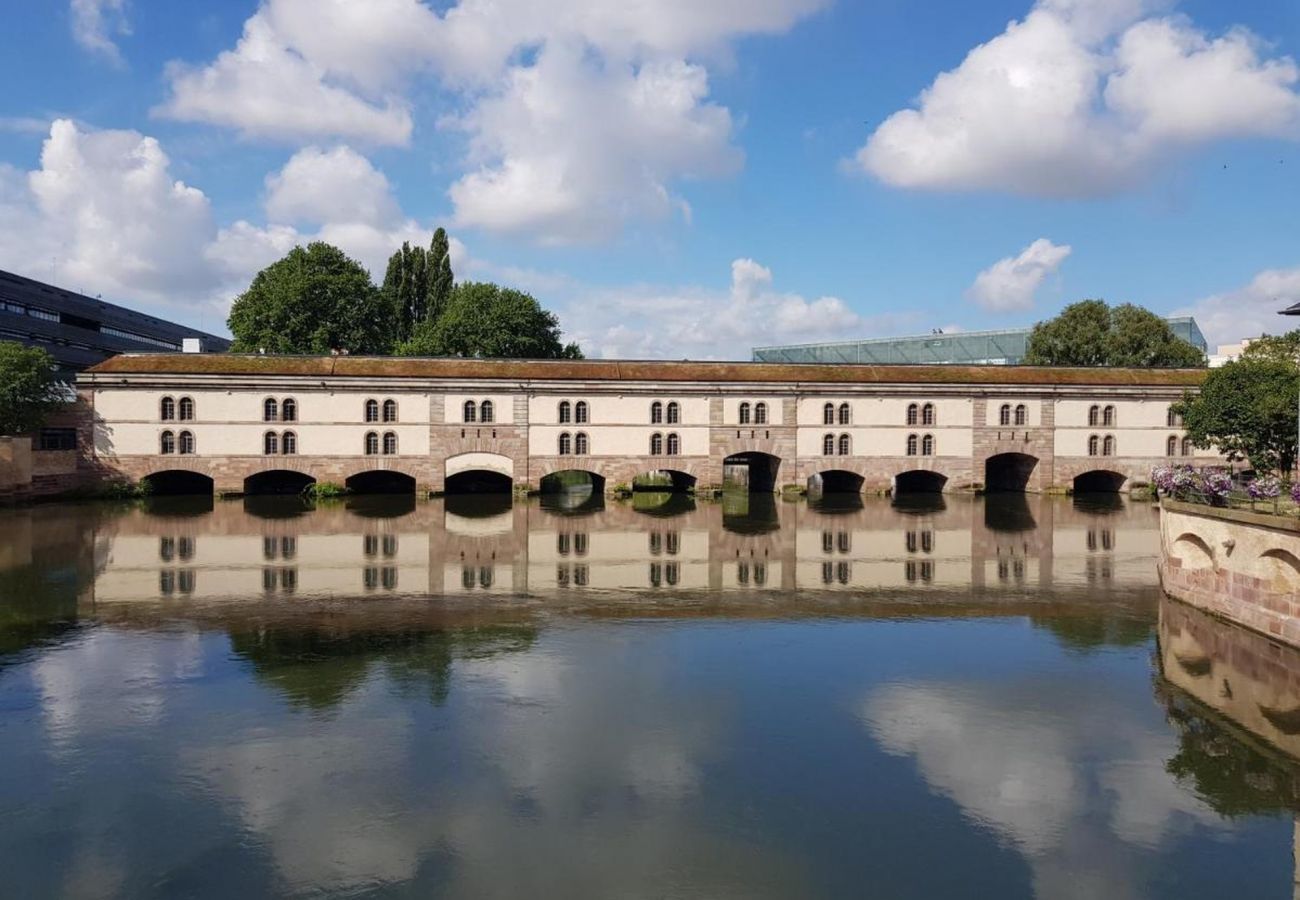 Ferienwohnung in Strasbourg - le nid de l ill magnifique duplex cosy petite fran