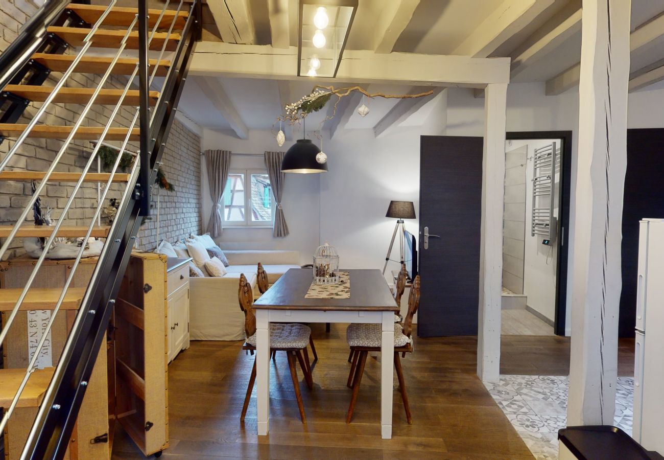 Ferienwohnung in Strasbourg - le nid de l ill magnifique duplex cosy petite fran