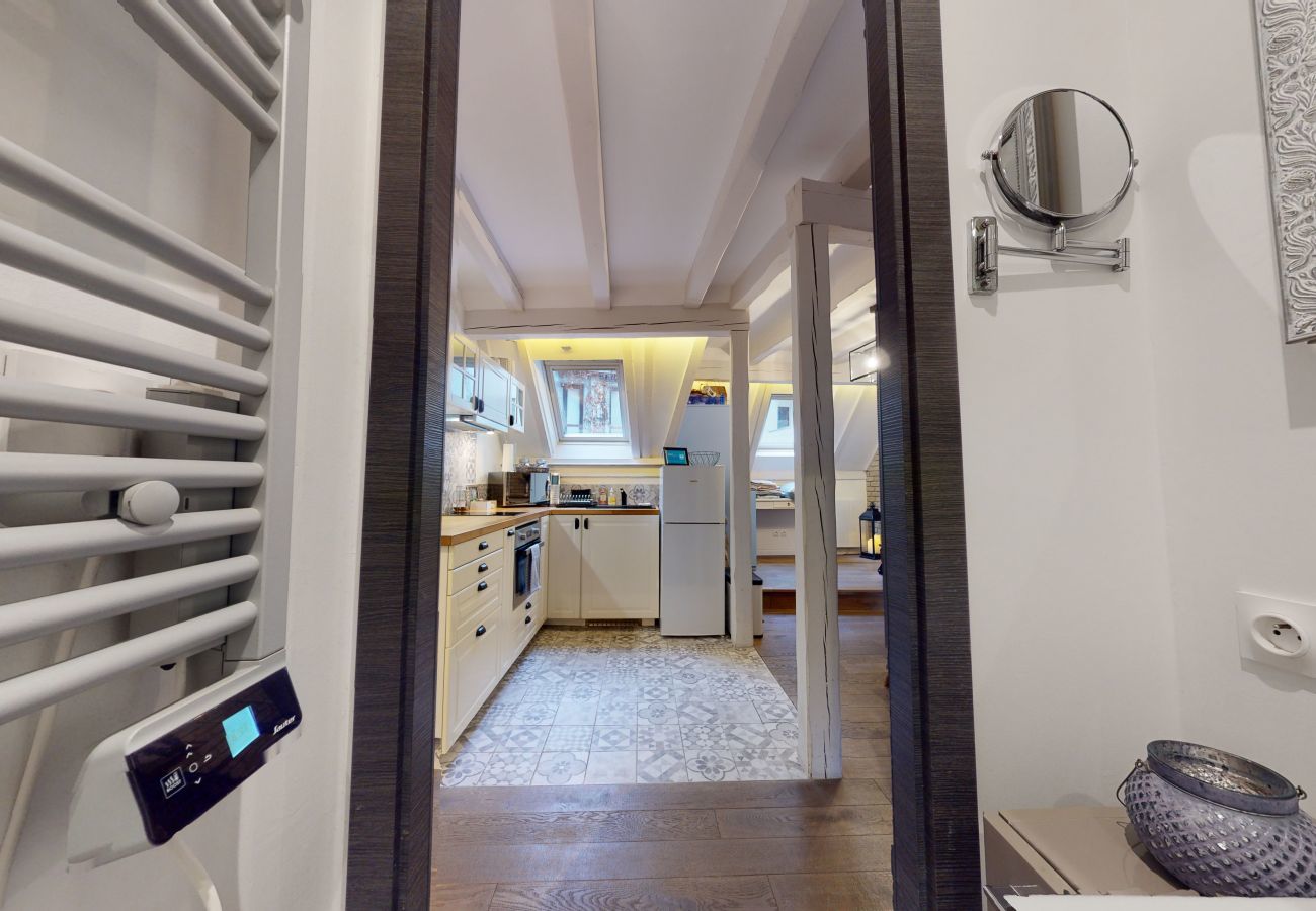 Ferienwohnung in Strasbourg - le nid de l ill magnifique duplex cosy petite fran