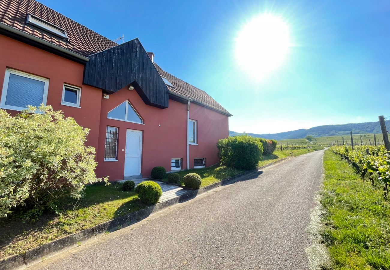 Ferienhaus in Eguisheim - The vineyard house Eguisheim
