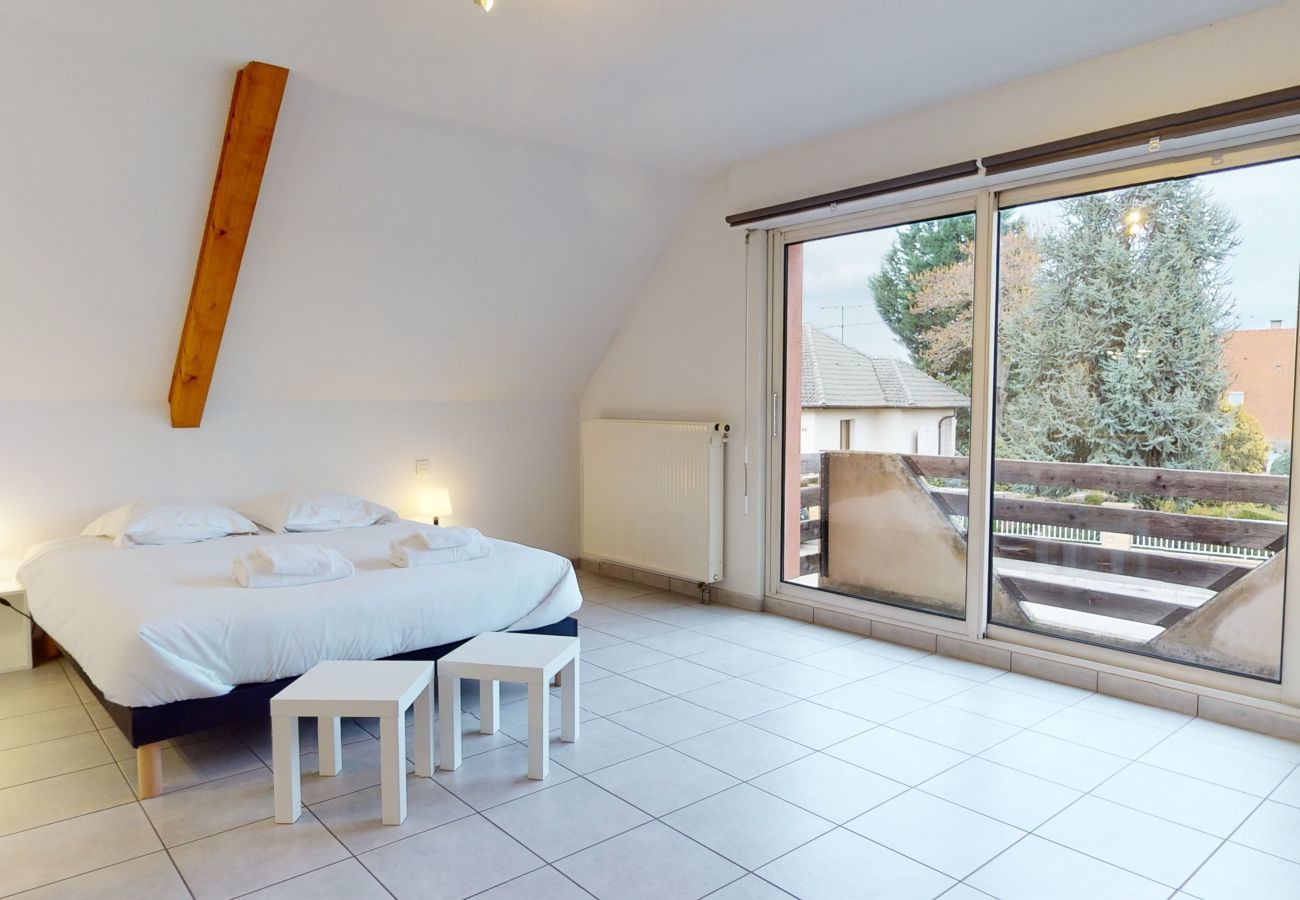 Ferienhaus in Eguisheim - The vineyard house Eguisheim