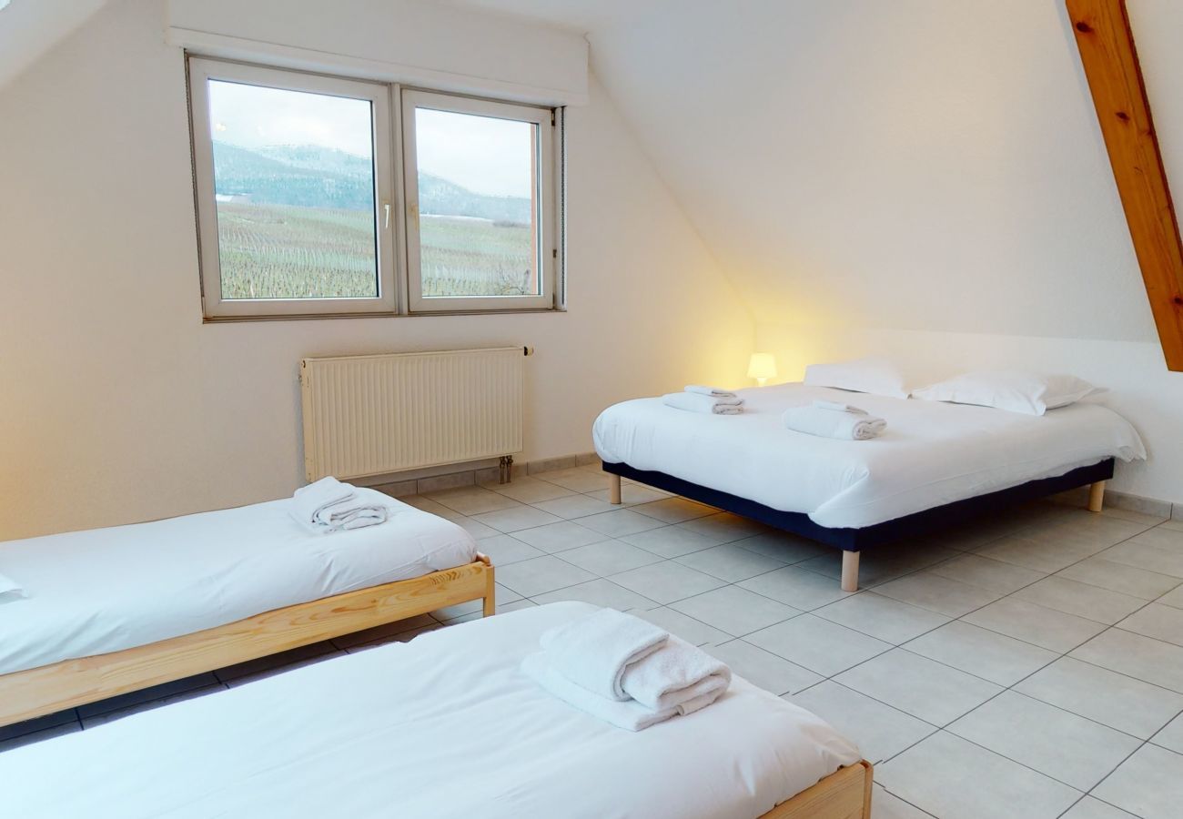 Ferienhaus in Eguisheim - The vineyard house Eguisheim