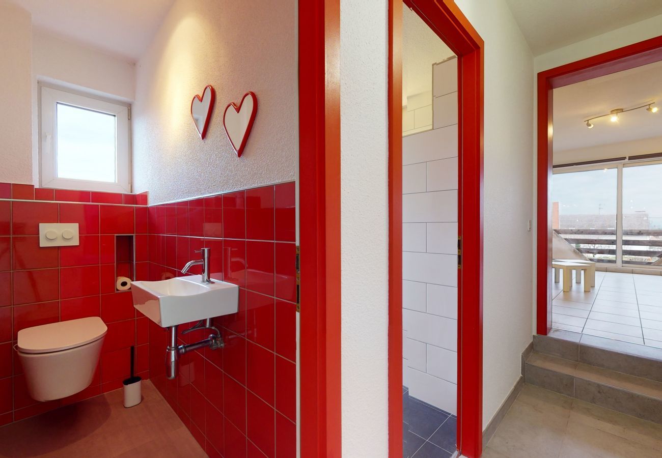 Ferienhaus in Eguisheim - The vineyard house Eguisheim