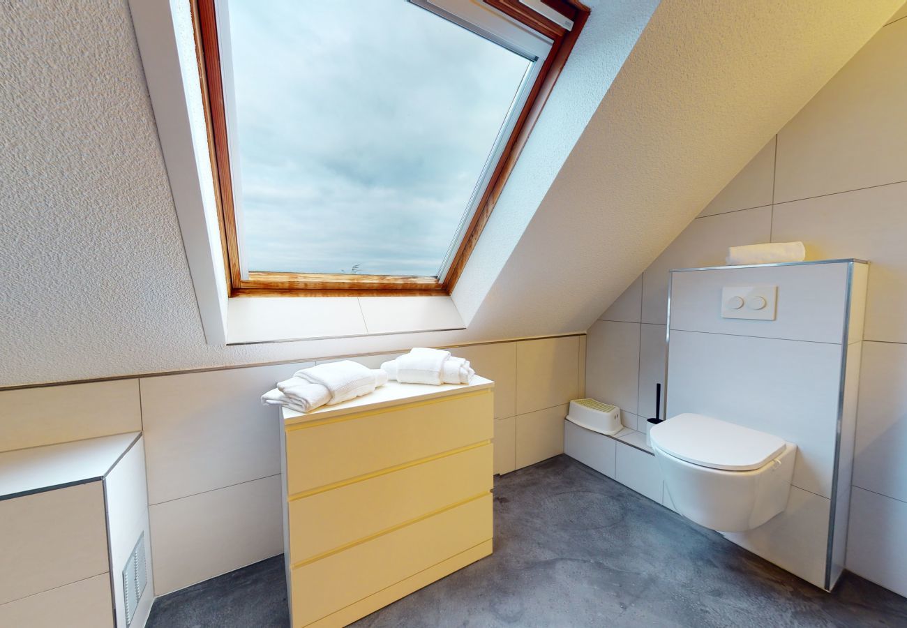 Ferienhaus in Eguisheim - The vineyard house Eguisheim