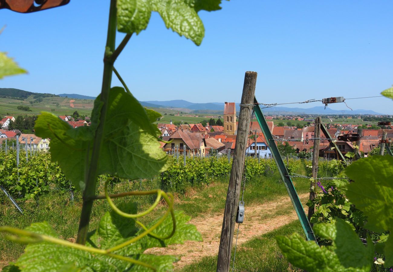 Ferienhaus in Eguisheim - The vineyard house Eguisheim