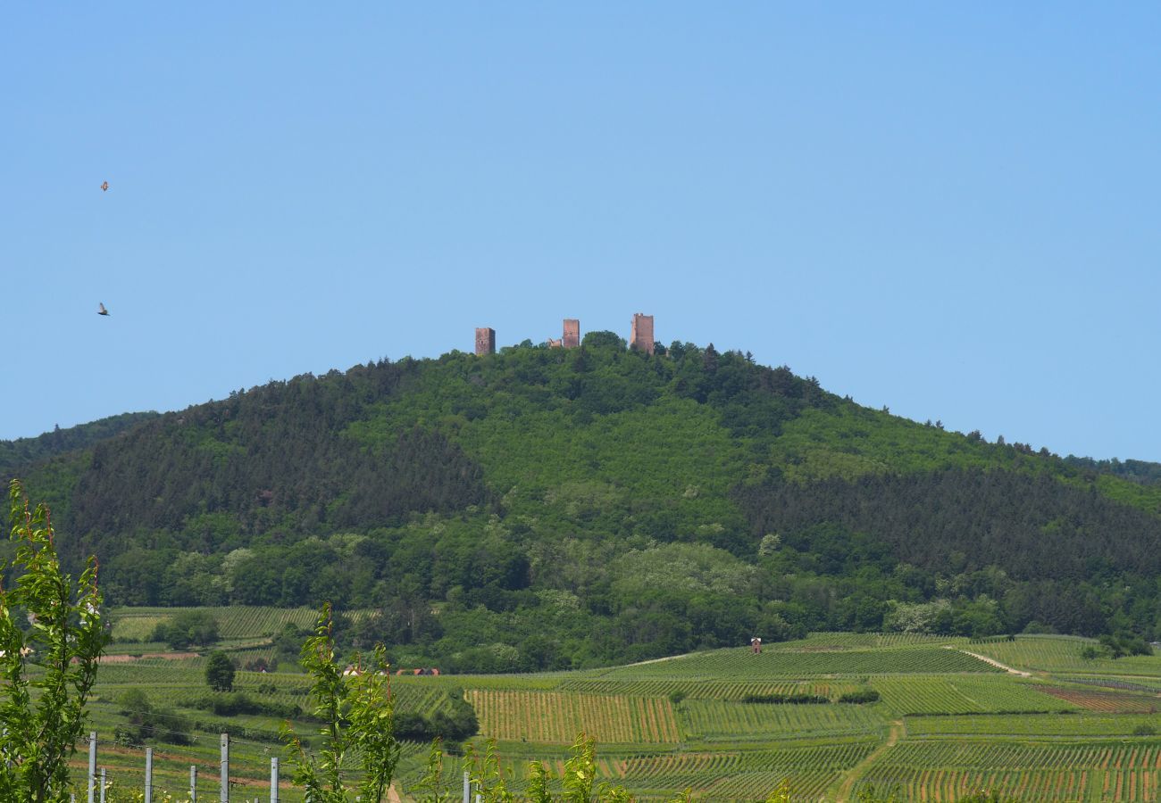 Ferienhaus in Eguisheim - The vineyard house Eguisheim