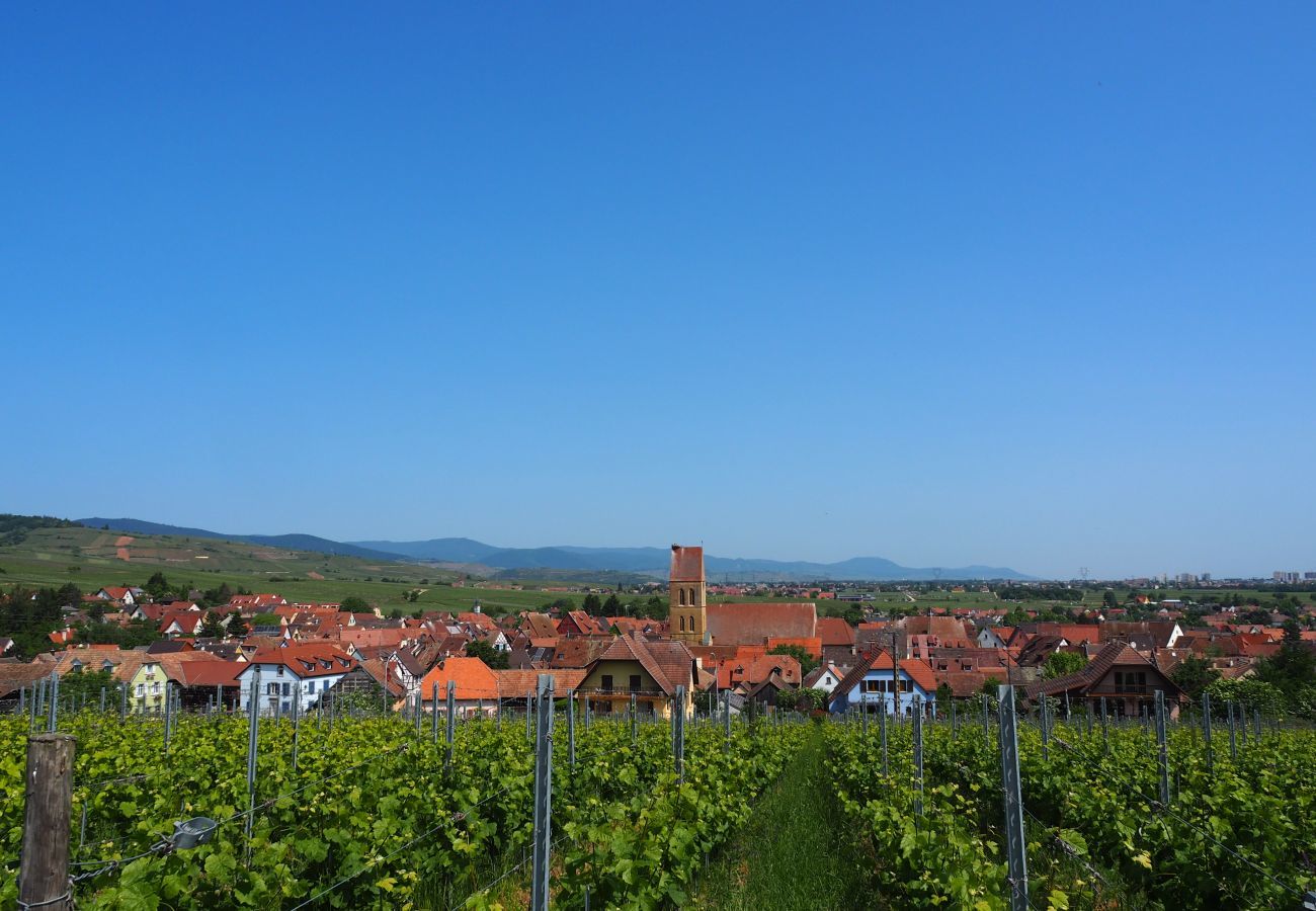 Ferienhaus in Eguisheim - The vineyard house Eguisheim