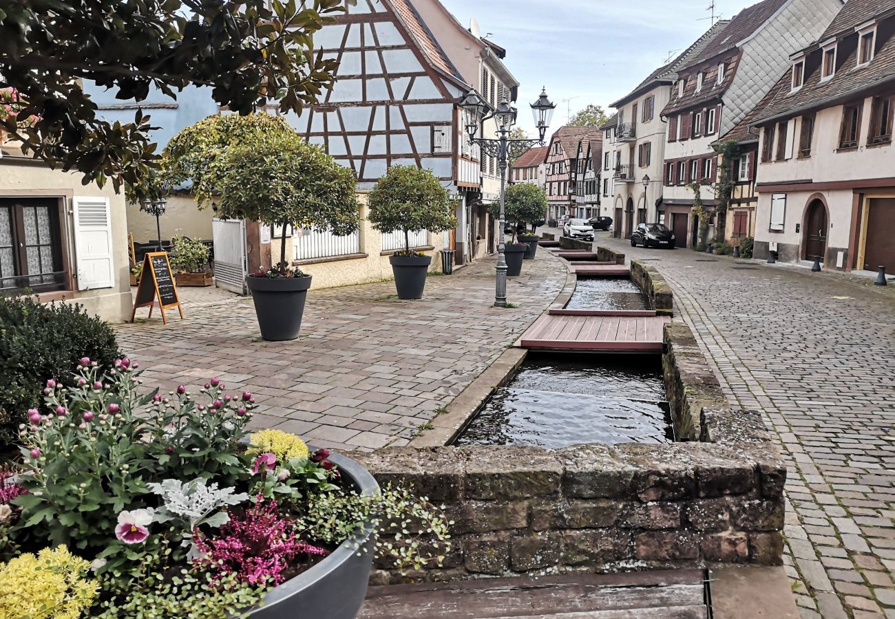 Ferienwohnung in Barr - Zum Storike Nescht