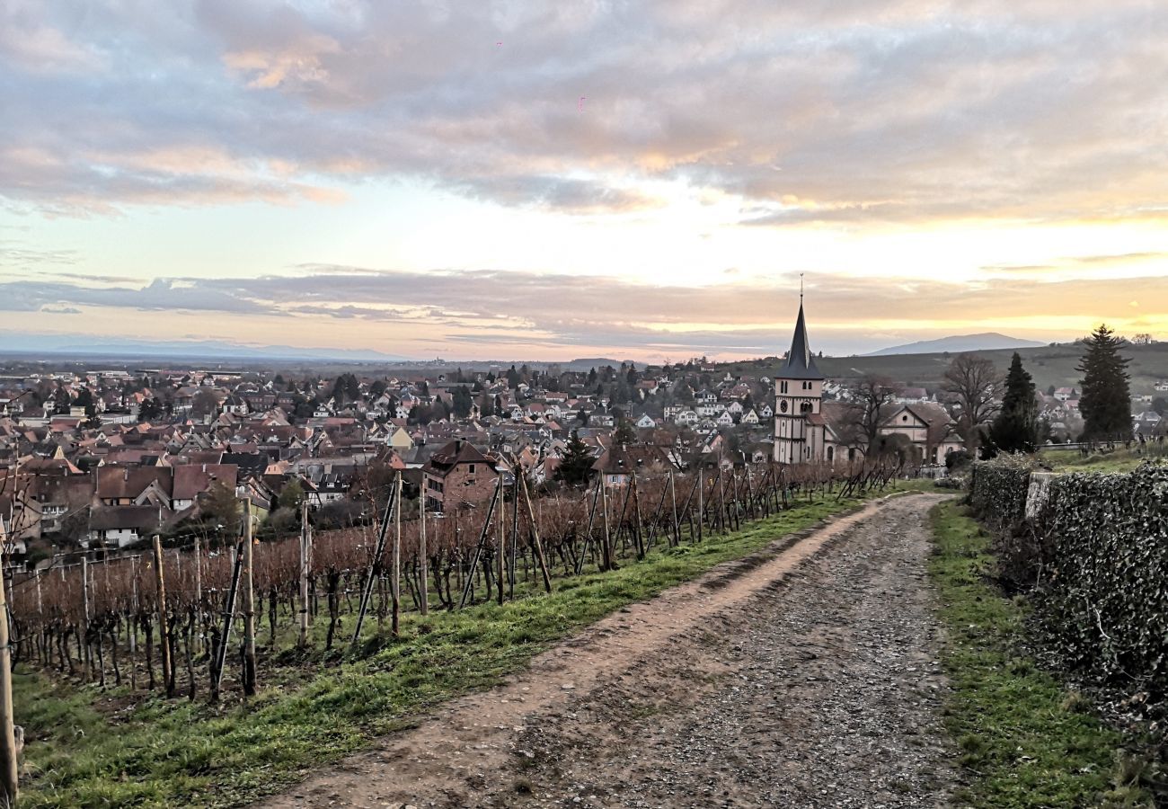 Ferienwohnung in Barr - Zum Storike Nescht