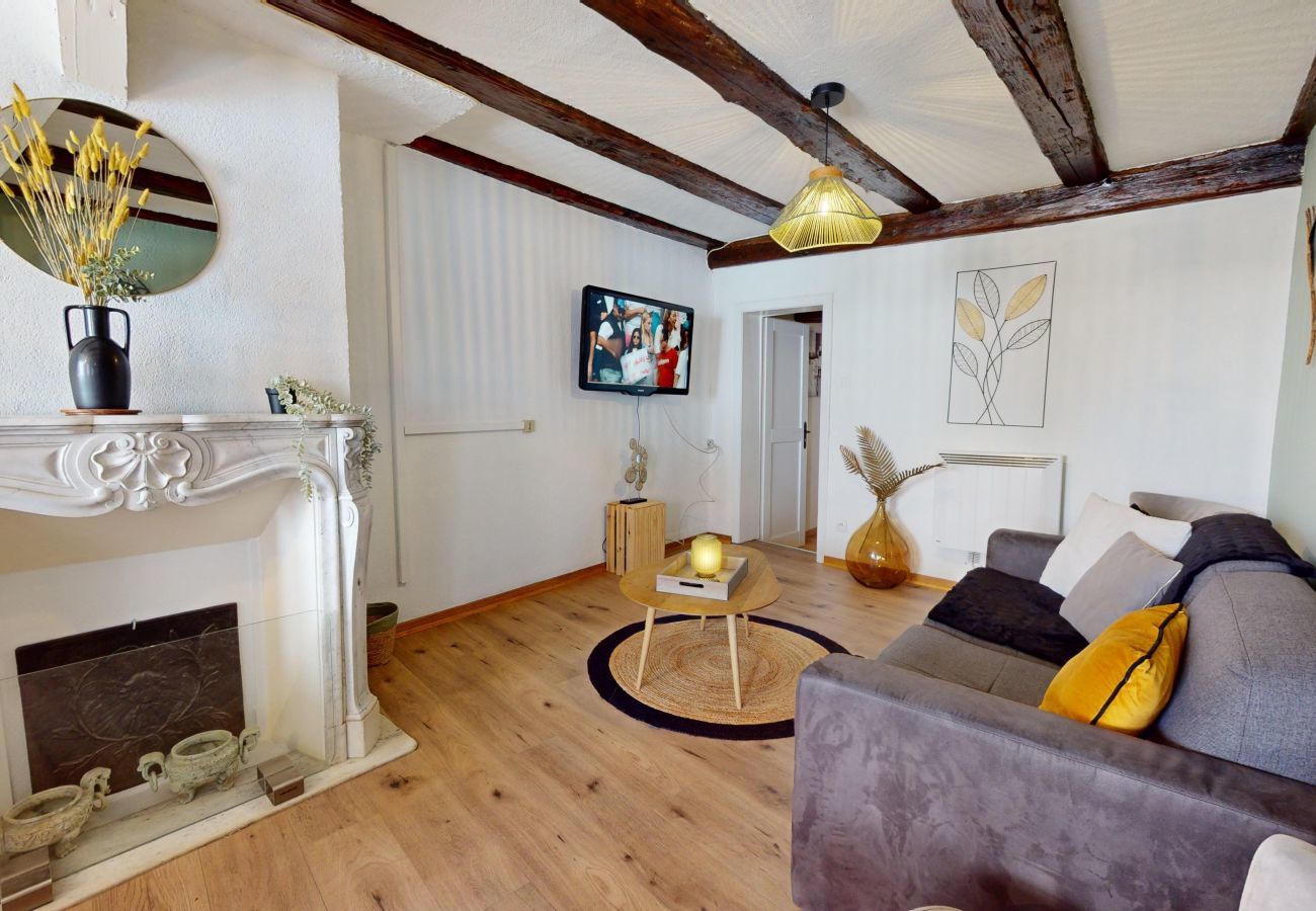 Ferienwohnung in Colmar - Au Petit Vauban 2 chambres avec parking