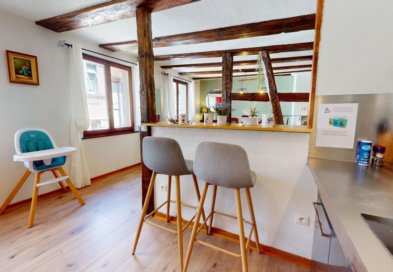 Ferienwohnung in Colmar - Au Petit Vauban 2 chambres avec parking