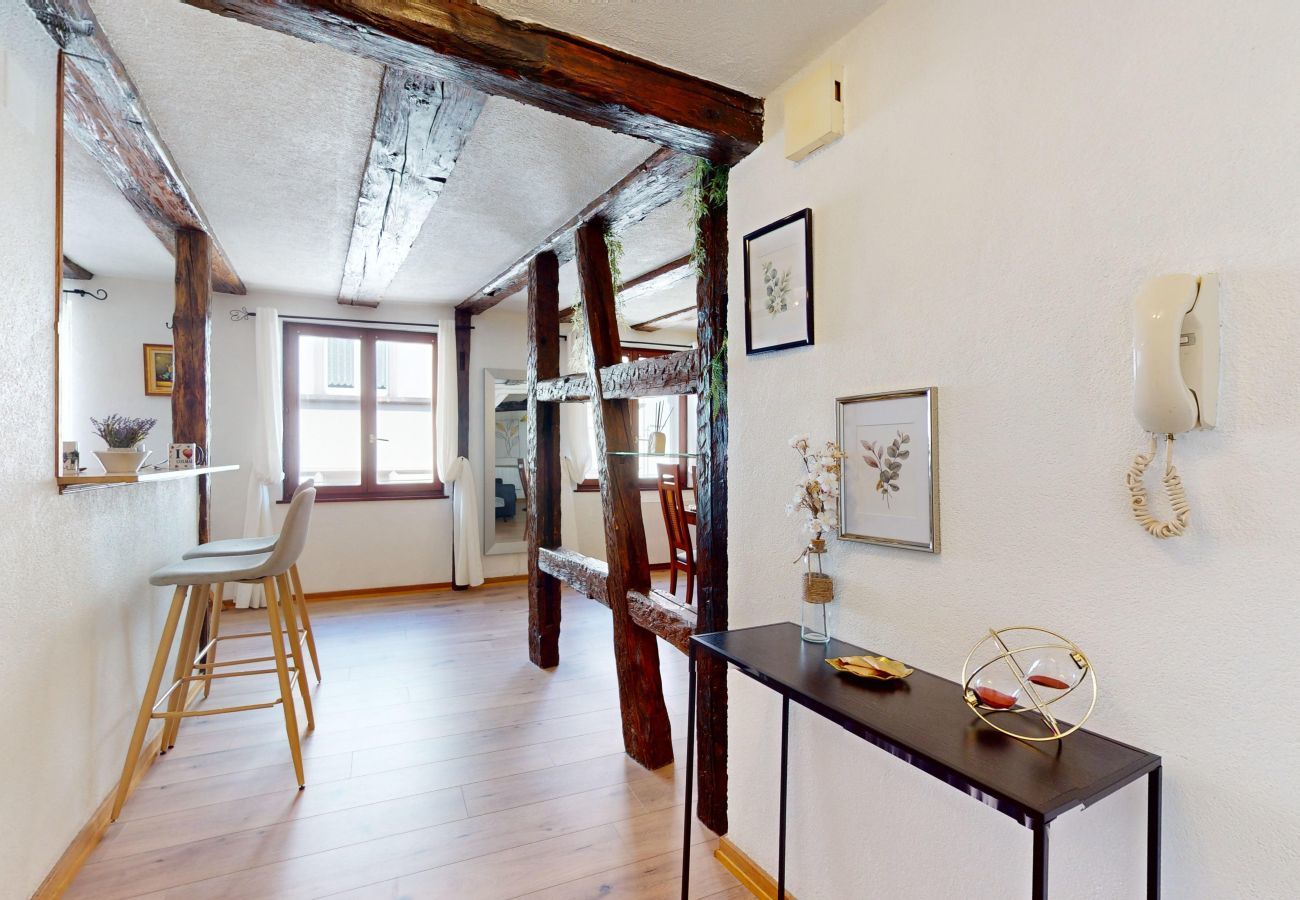 Ferienwohnung in Colmar - Au Petit Vauban 2 chambres avec parking
