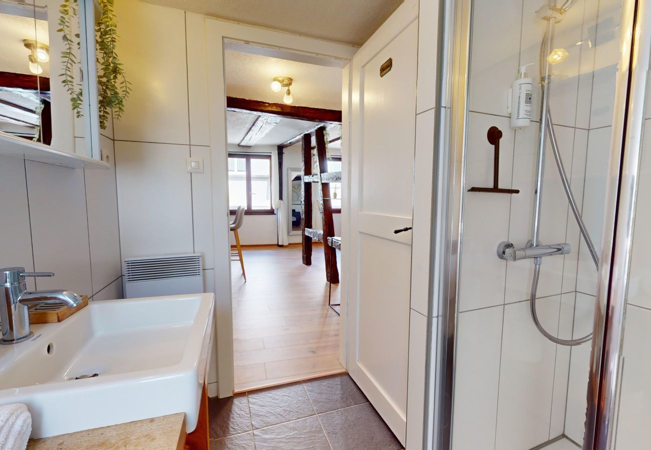 Ferienwohnung in Colmar - Au Petit Vauban 2 chambres avec parking