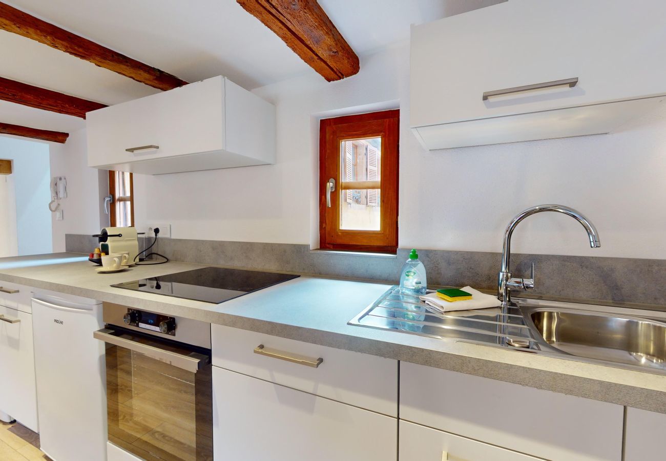 Aparthotel in Colmar - Ancien Relais 4 Duplex Clim/A-C