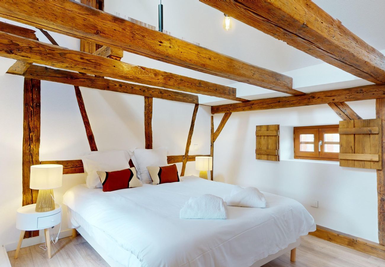 Aparthotel in Colmar - Ancien Relais 4 Duplex Clim/A-C