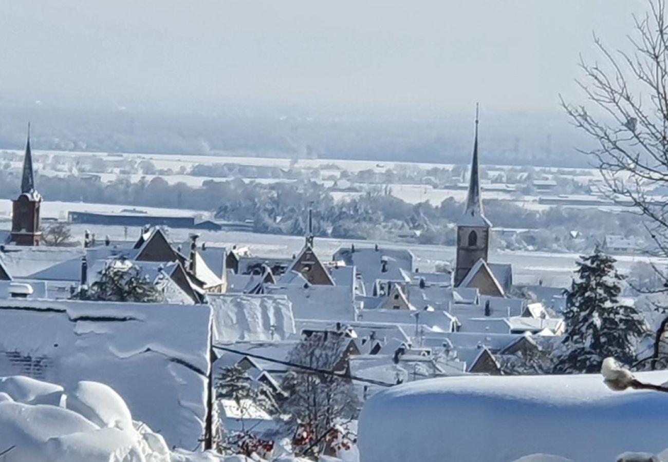 Ferienwohnung in Mittelbergheim - Gite du Holzweg Les Cigognes Duplex