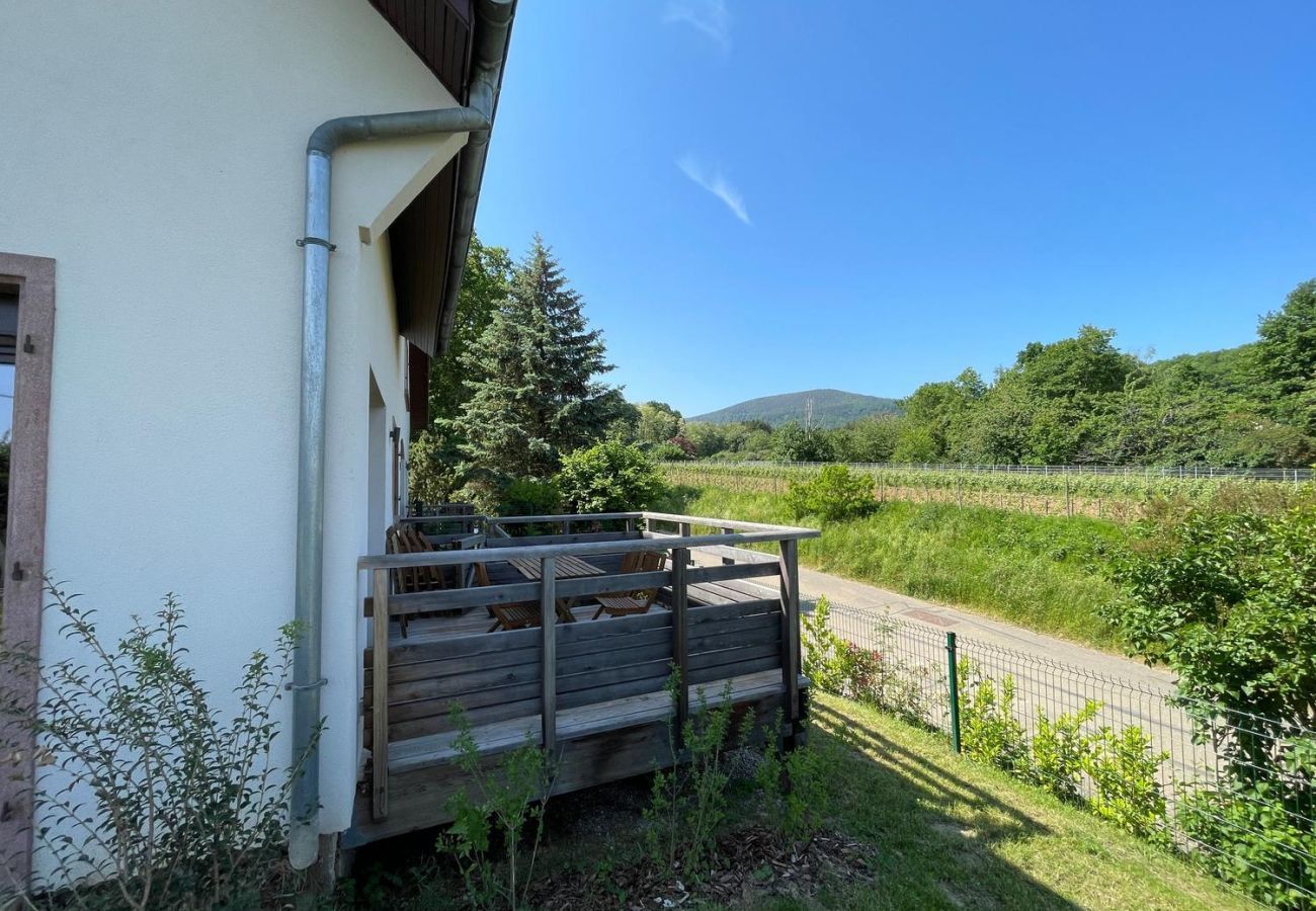 Ferienwohnung in Mittelbergheim - Gite du Holzweg Les Cigognes Duplex