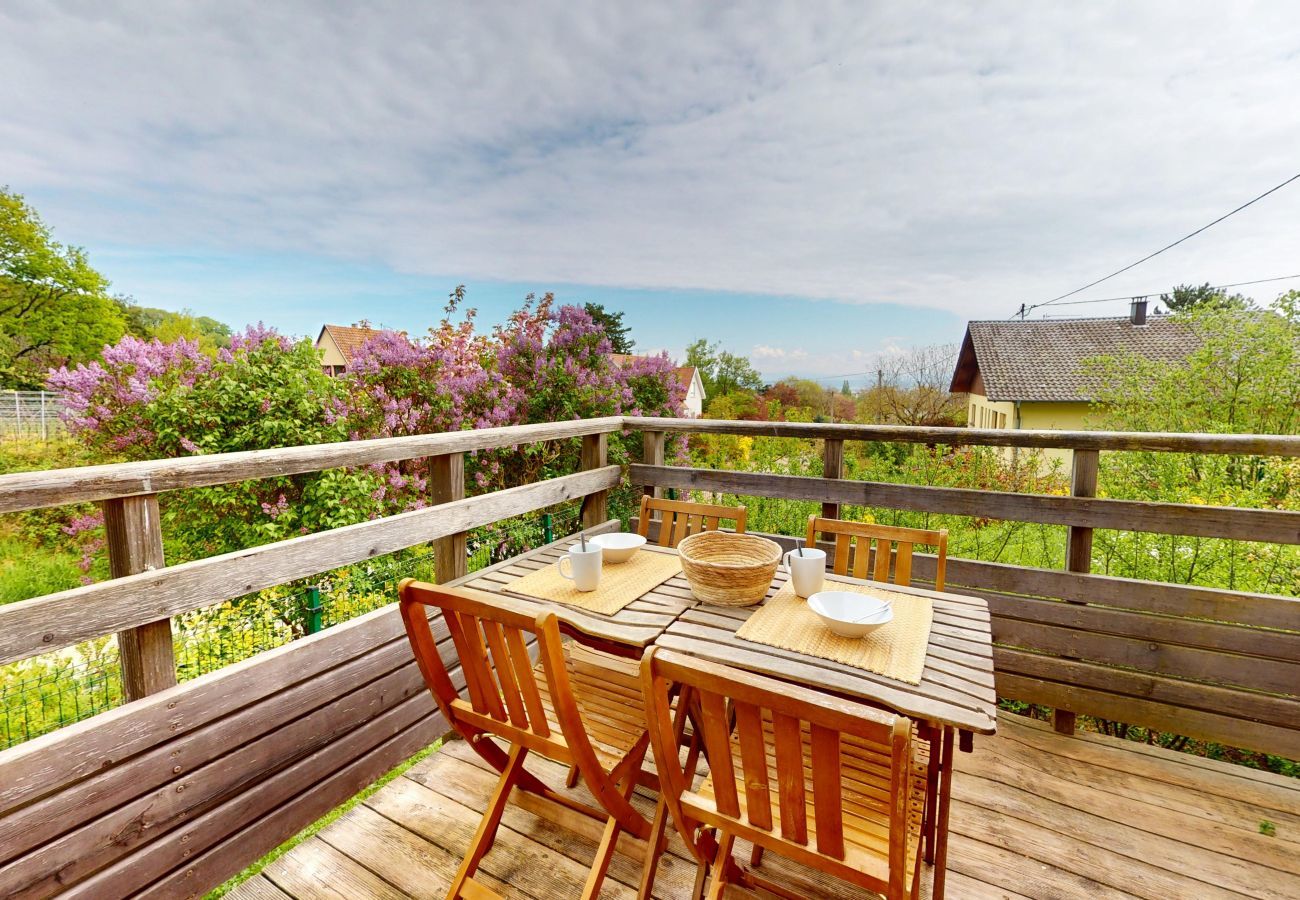 Ferienwohnung in Mittelbergheim - Gite du Holzweg Les Cigognes Duplex