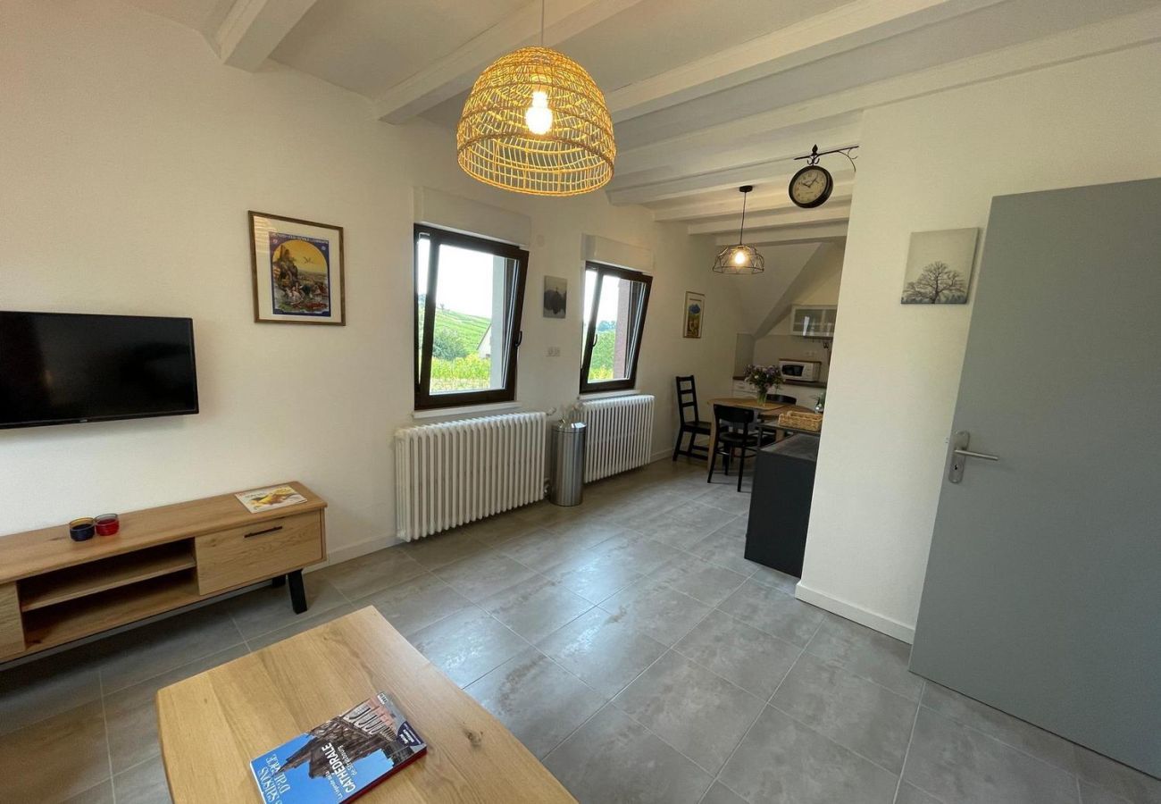 Ferienhaus in Mittelbergheim - Gite du Holzweg La maison familiale
