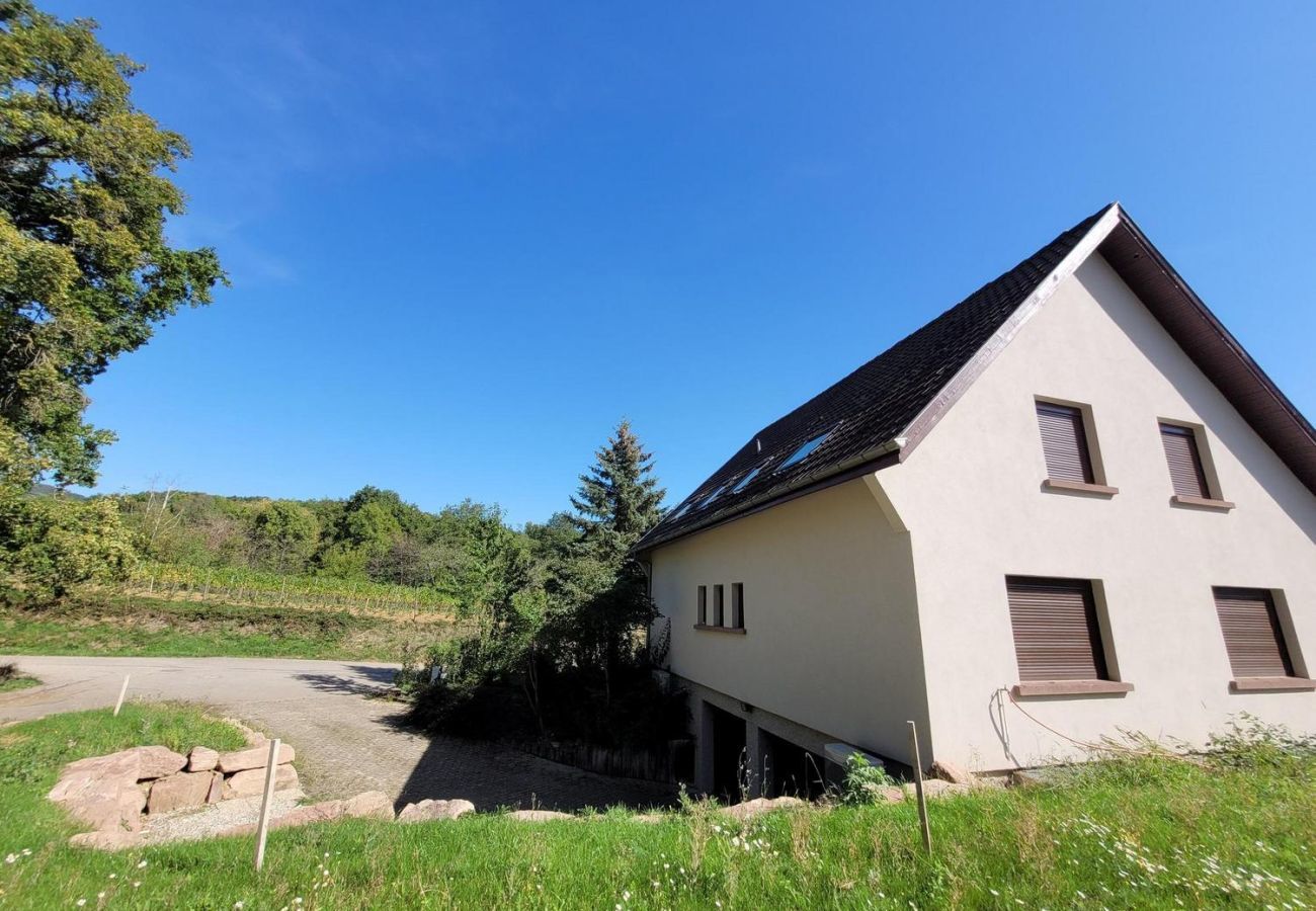 Ferienhaus in Mittelbergheim - Gite du Holzweg La maison familiale